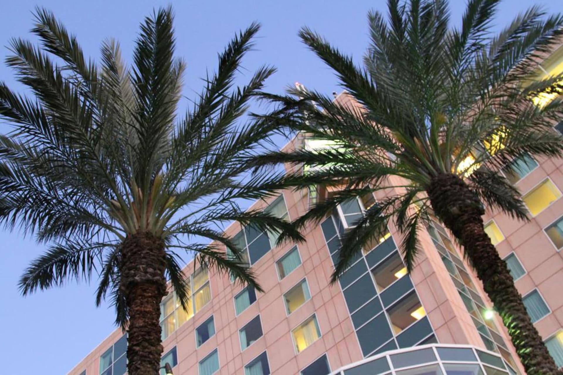 Moody Gardens Hotel Spa and Convention Center gallery photo in Galveston, TX — image 31
