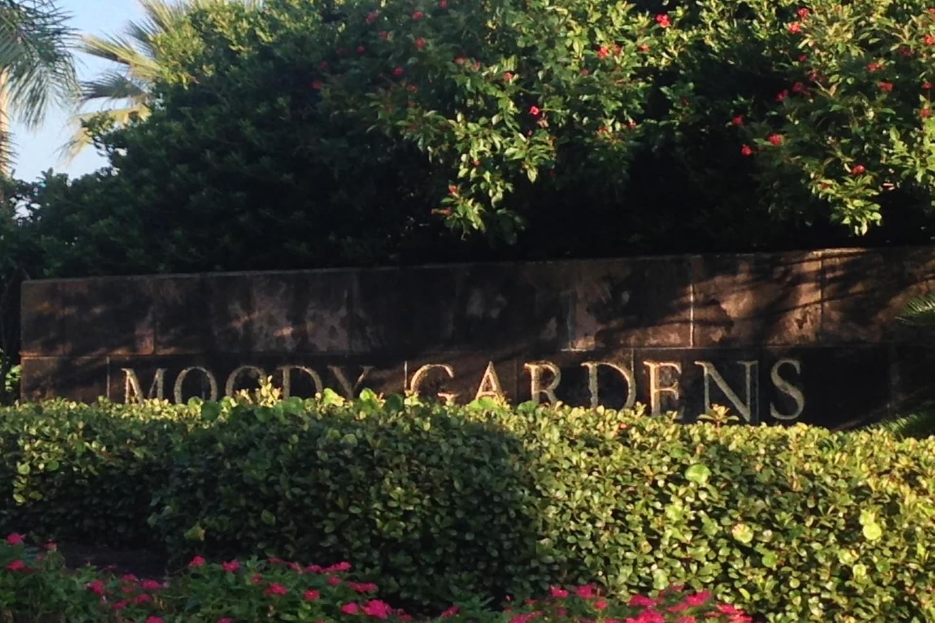 Moody Gardens Hotel Spa and Convention Center gallery photo in Galveston, TX — image 63