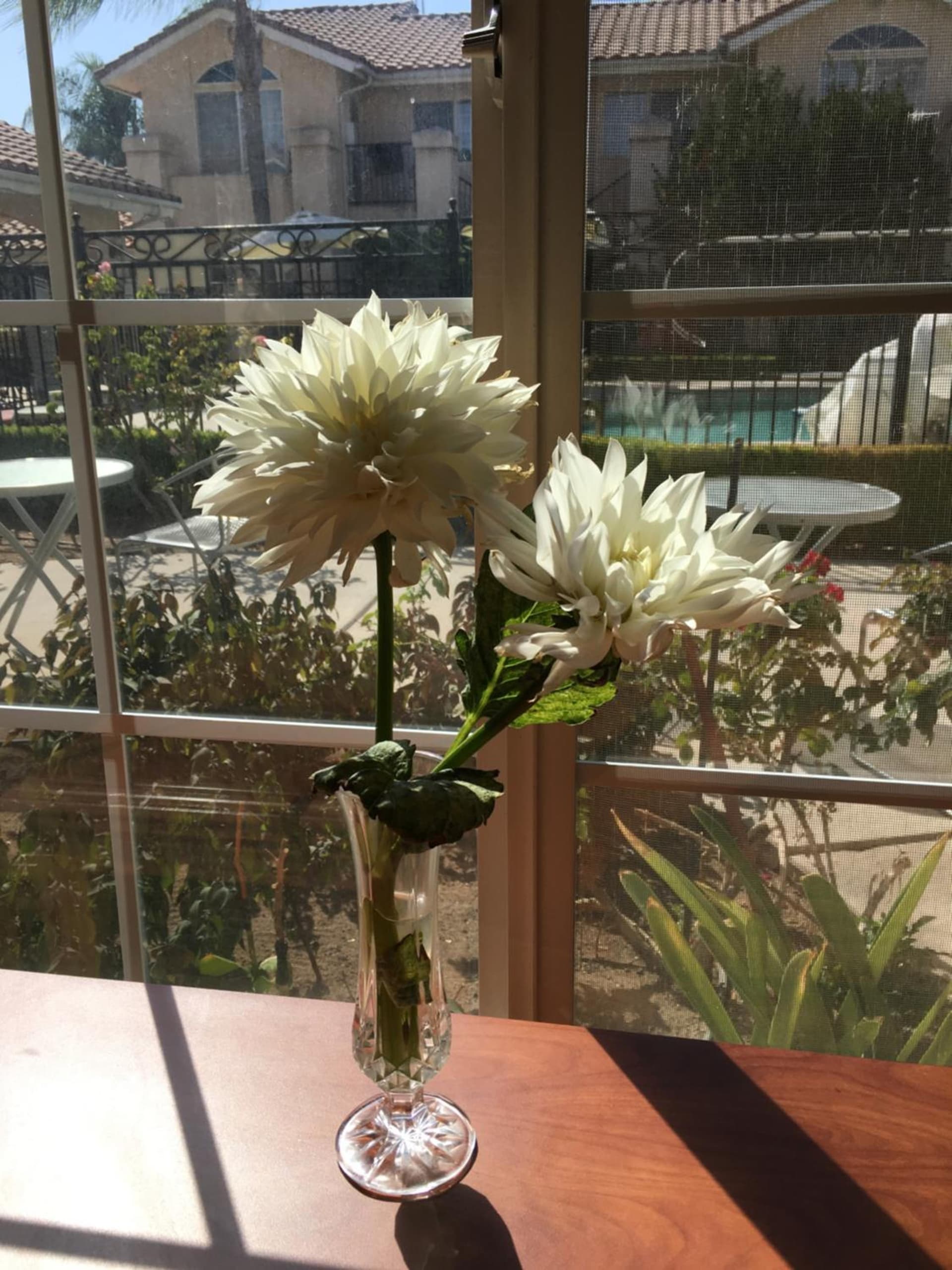 Garden Inn and Suites Fresno gallery photo in Fresno, CA — image 24