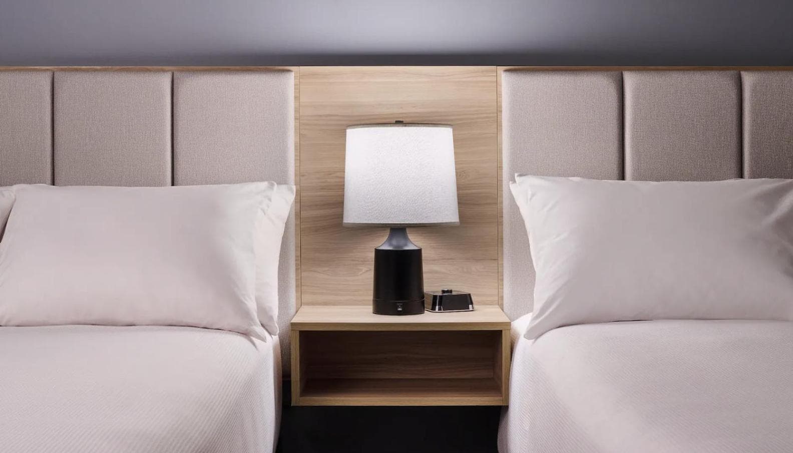 Hyatt Studios Jacksonville/St Johns Town Center interior in Jacksonville, FL — gallery photo 2