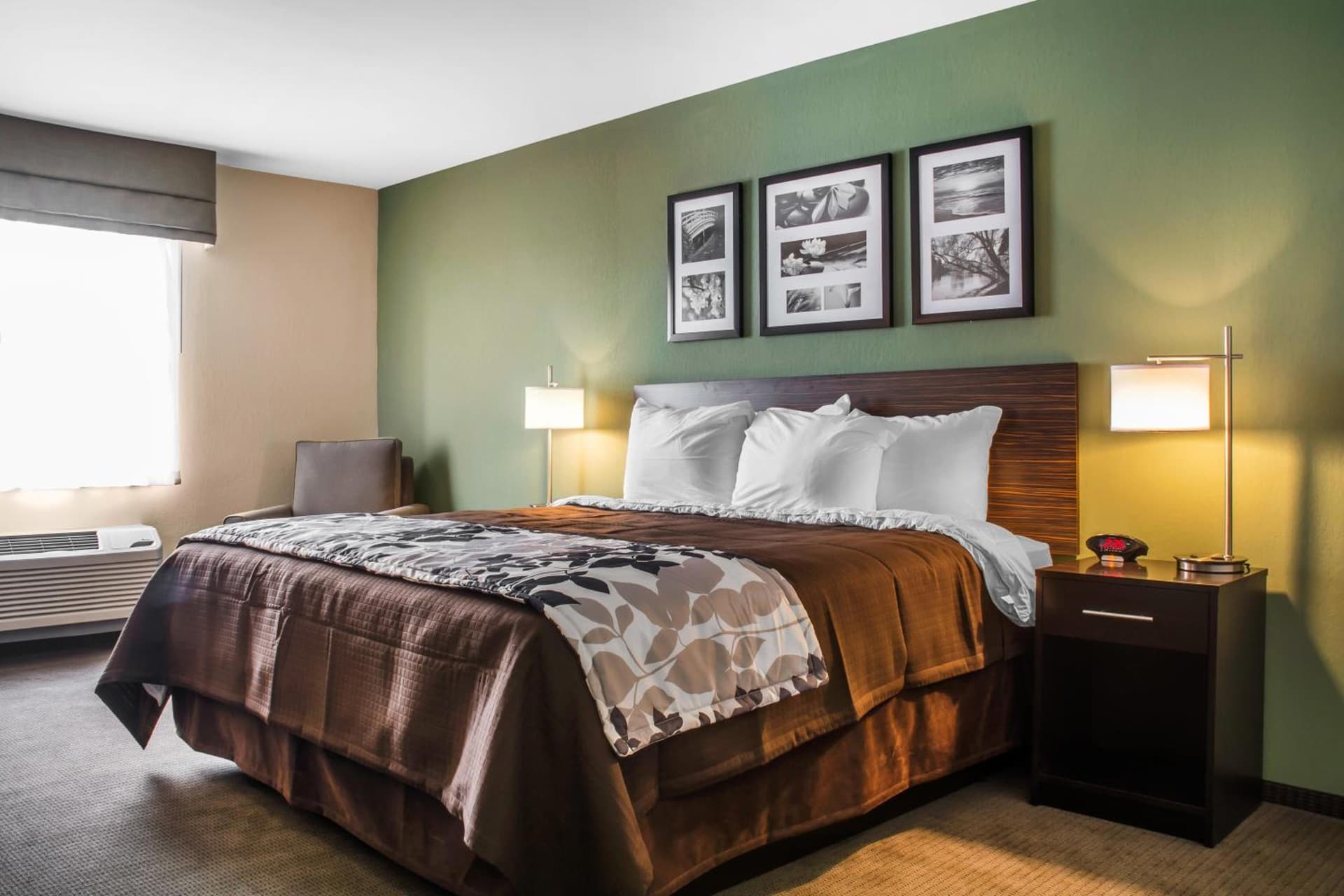 Sleep Inn & Suites Syracuse Airport gallery photo in East Syracuse, NY — image 5
