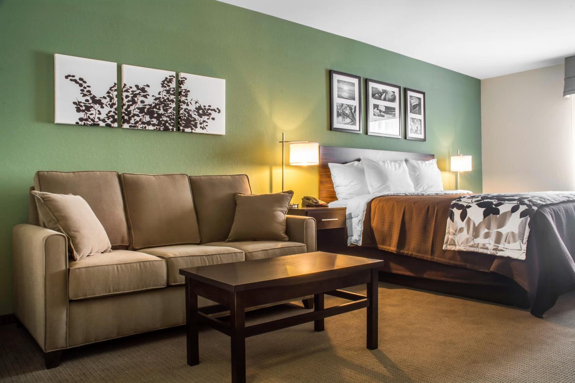 Sleep Inn & Suites Syracuse Airport gallery photo in East Syracuse, NY — image 35