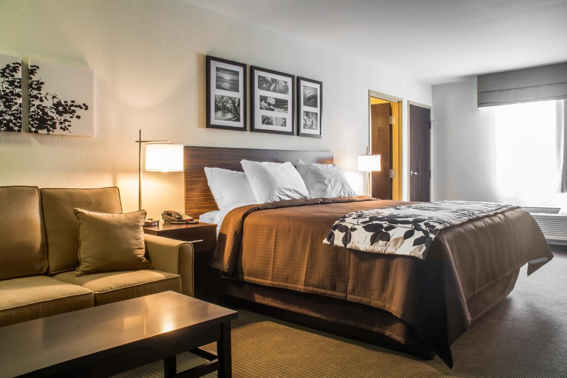 Sleep Inn & Suites Syracuse Airport gallery photo in East Syracuse, NY — image 42