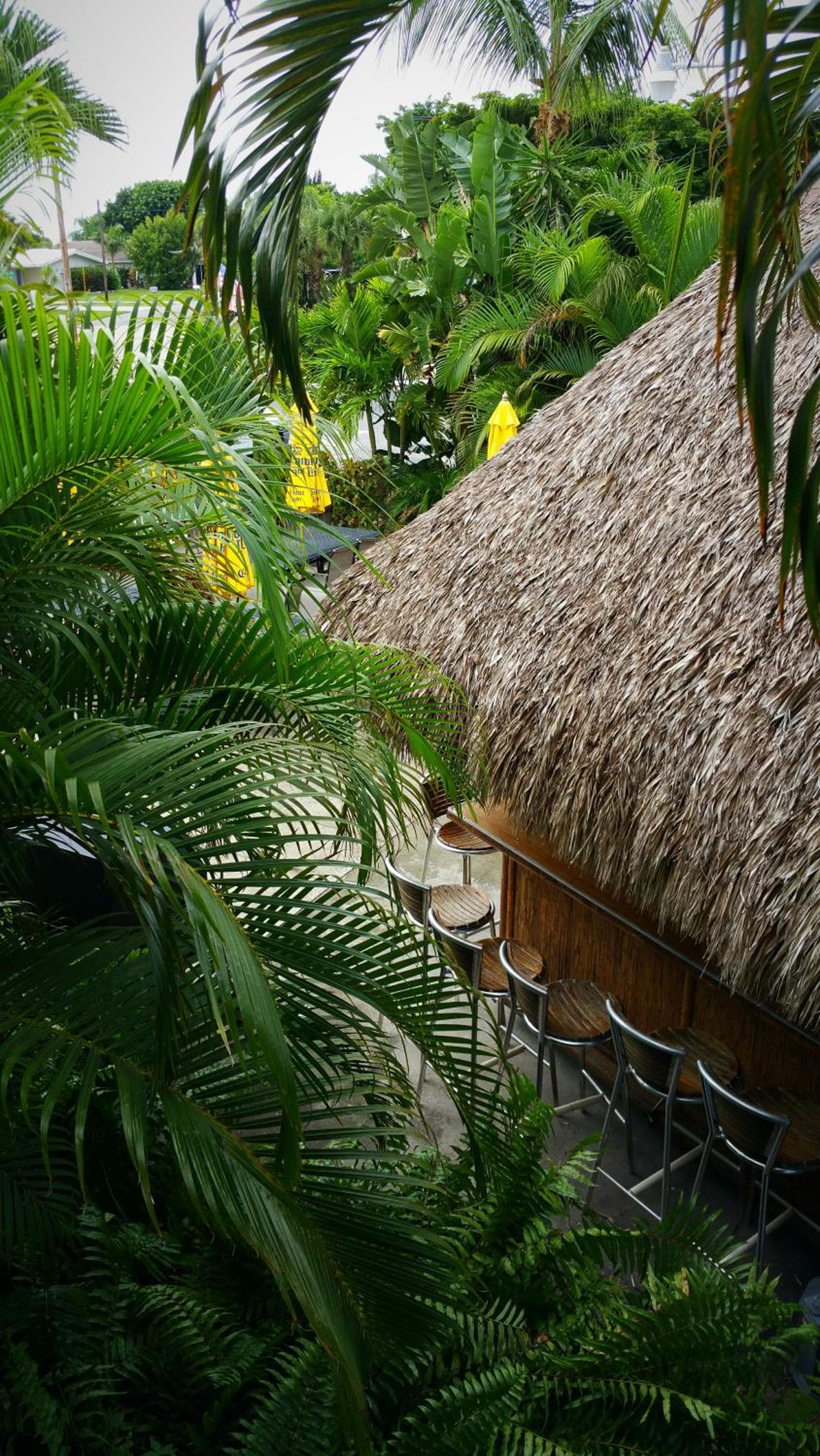 Dolphin Key Resort - Cape Coral gallery photo in Cape Coral, FL — image 19