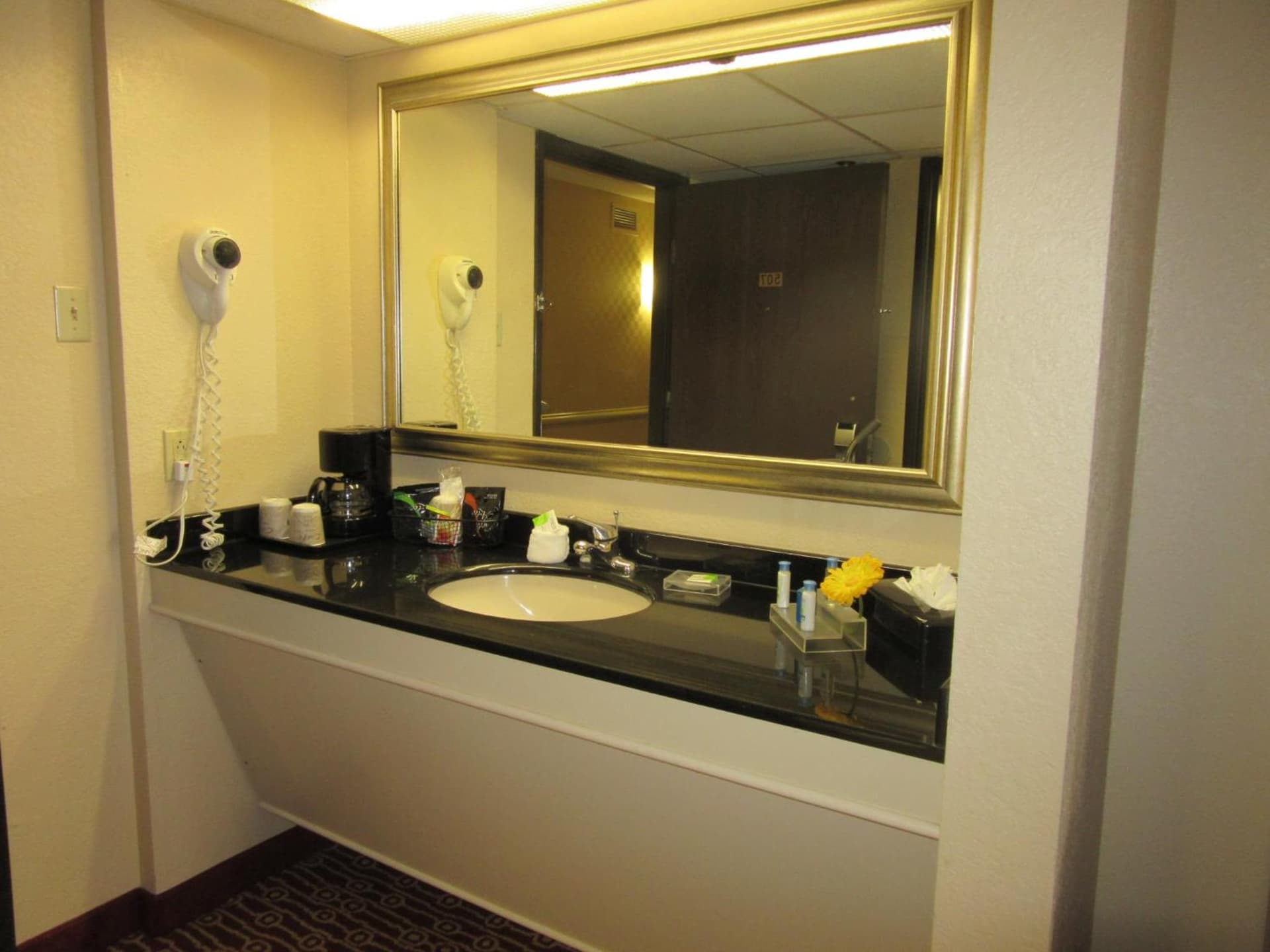 Atrium Hotel and Suites DFW Airport gallery photo in Irving, TX — image 107