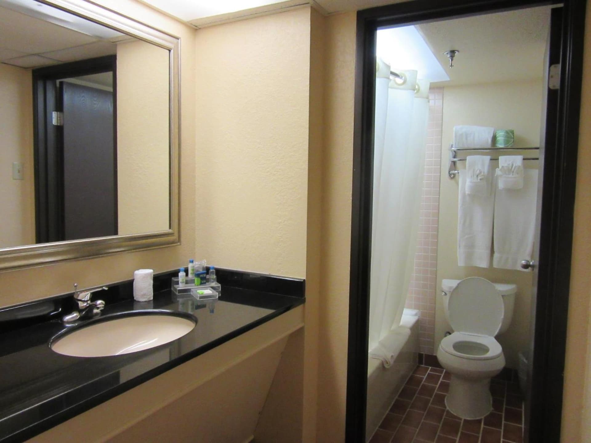 Atrium Hotel and Suites DFW Airport gallery photo in Irving, TX — image 21