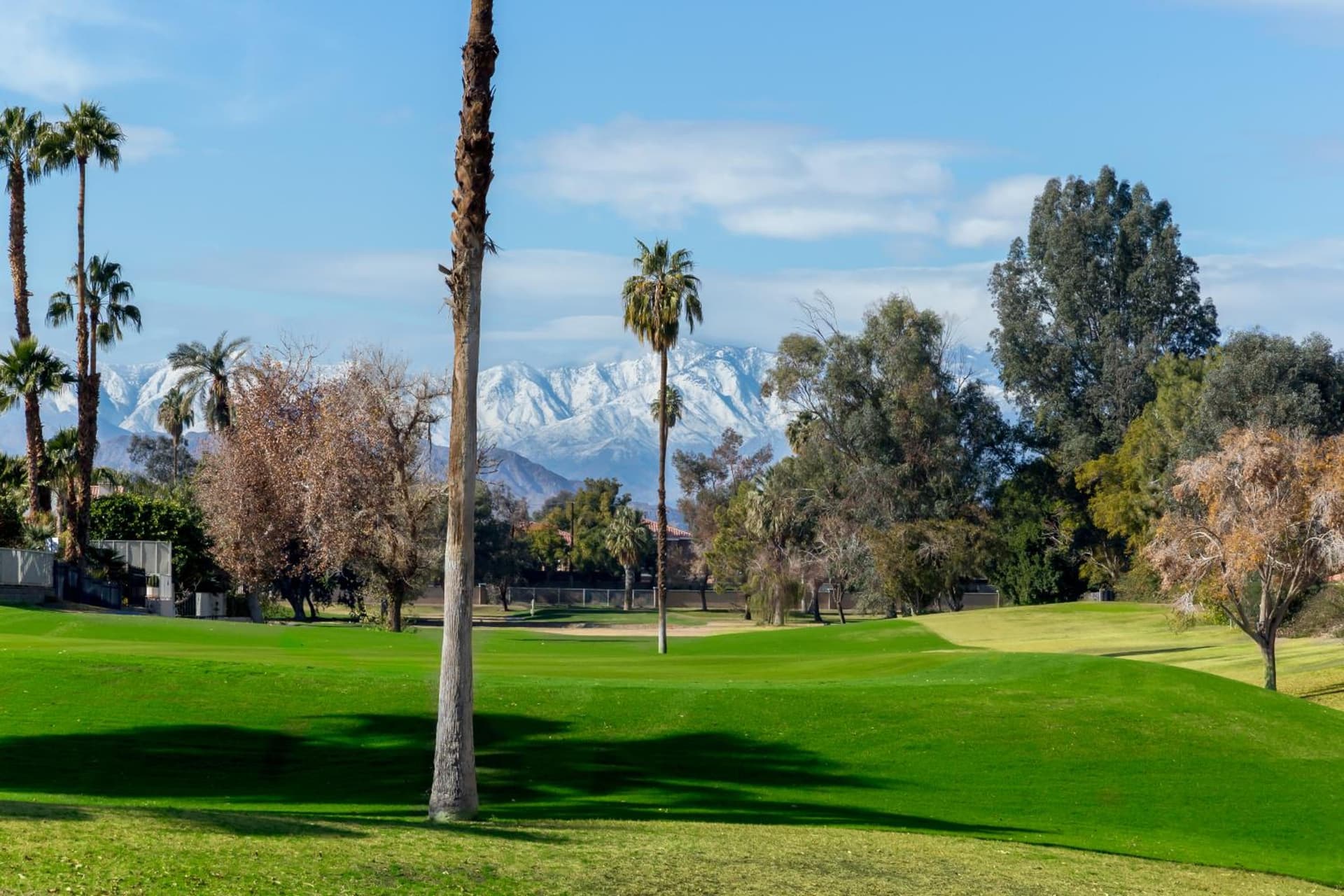 Indian Palms Vacation Club gallery photo in Indio, CA — image 11