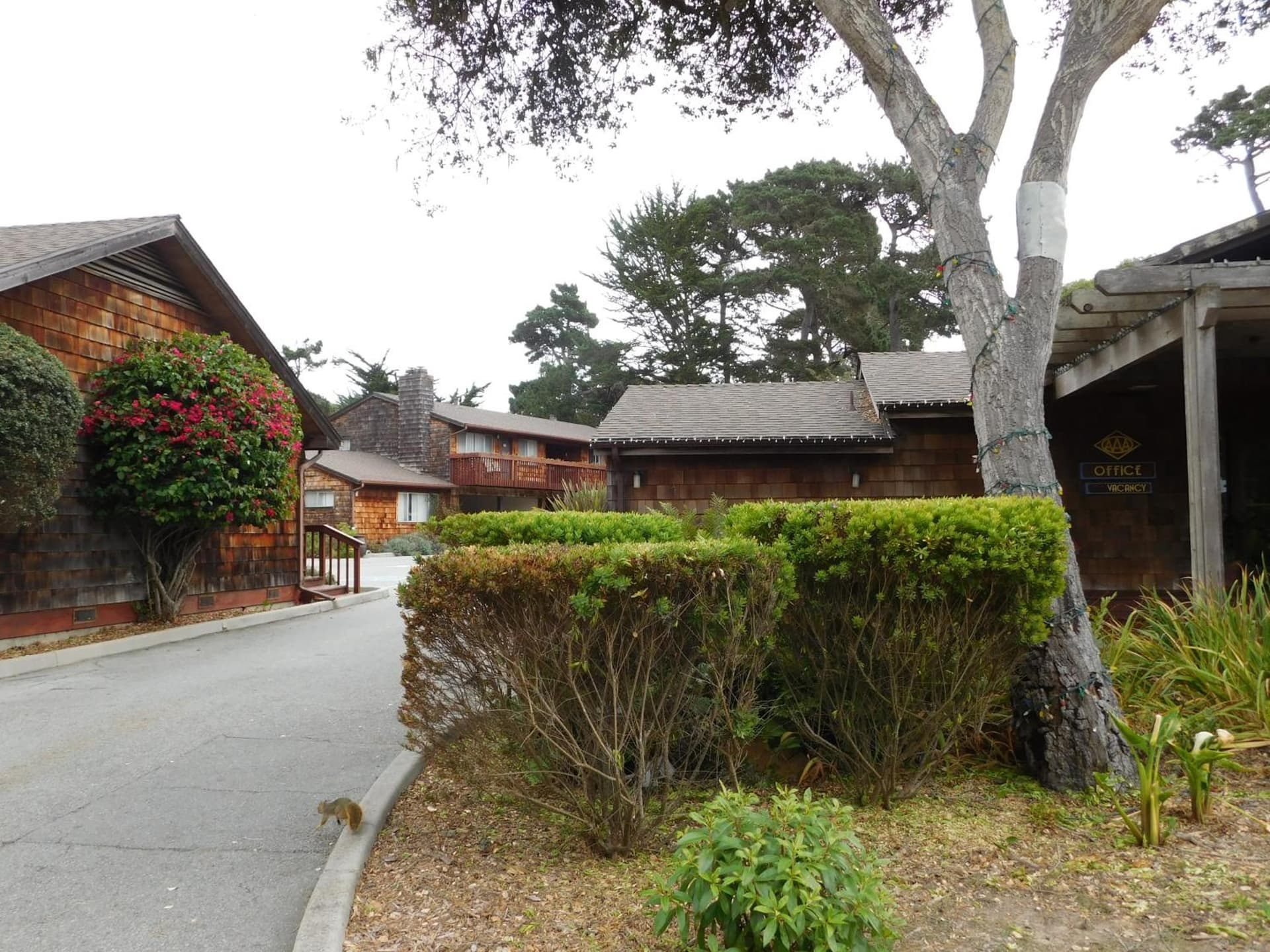 Pacific Gardens Inn gallery photo in Pacific Grove, CA — image 49