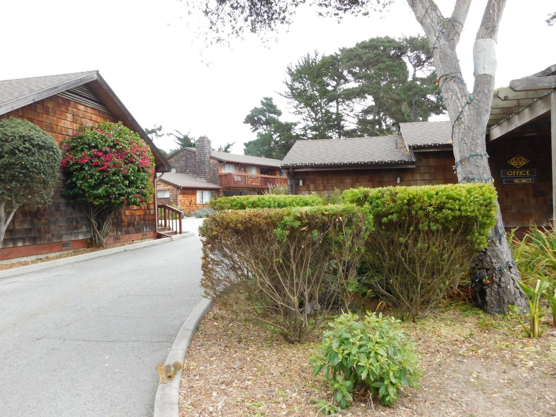 Pacific Gardens Inn gallery photo in Pacific Grove, CA — image 24