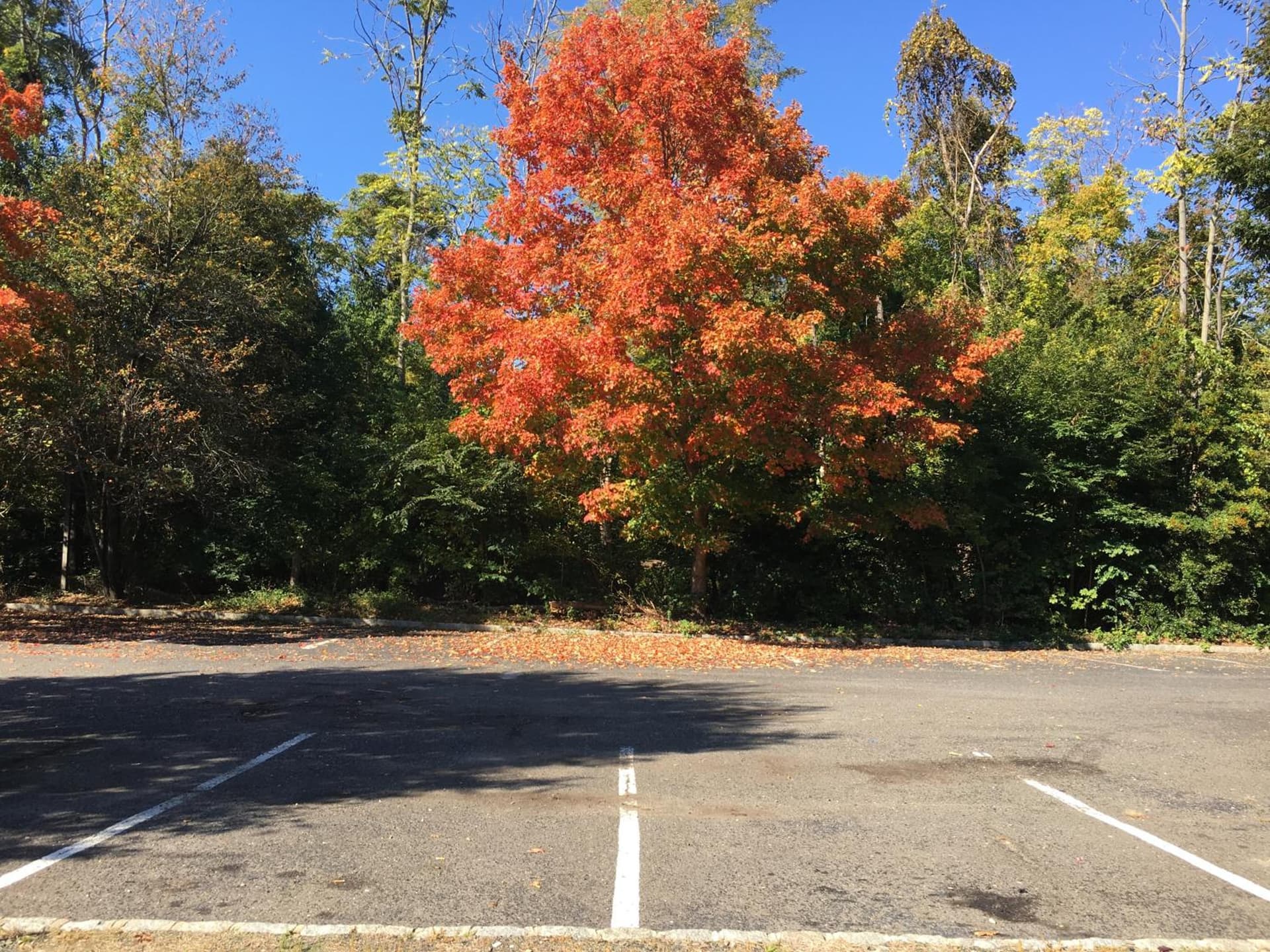 Colts Neck Inn Hotel gallery photo in Colts Neck — image 60