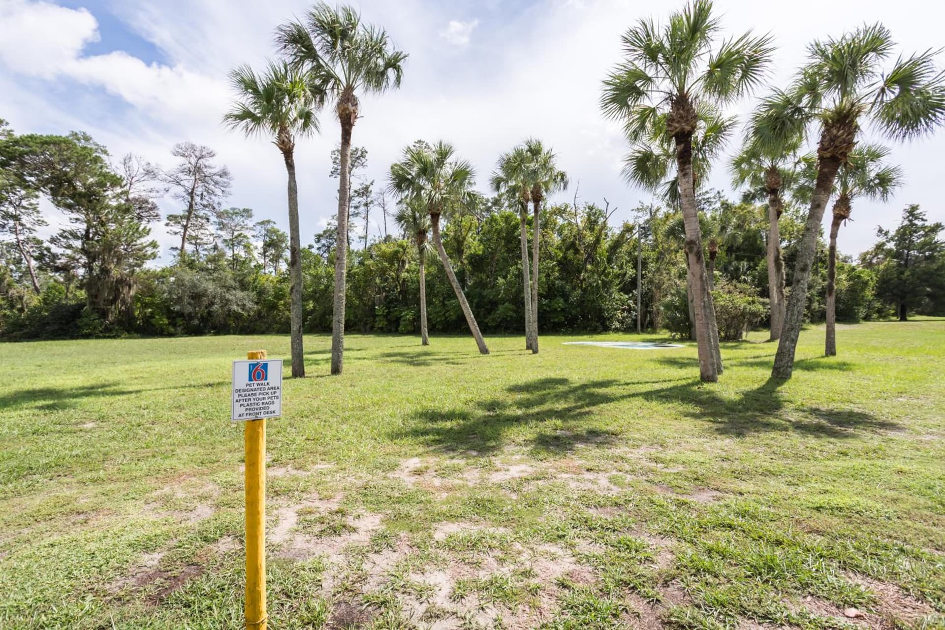 Motel 6-Spring Hill, FL - Weeki Wachee gallery photo in Weeki Wachee, FL — image 30