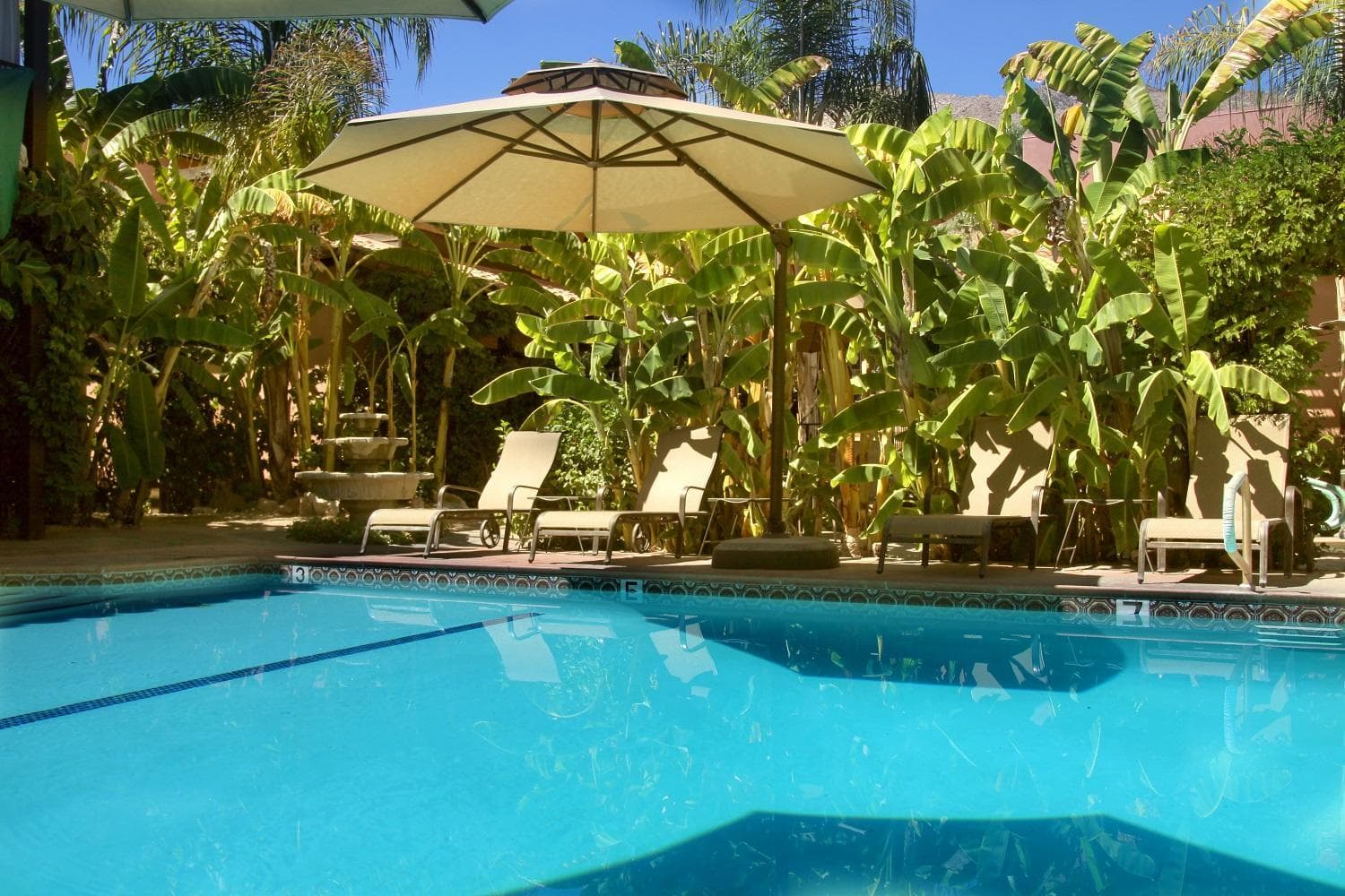 Hotel California - A Town & Desert Boutique Hotel gallery photo in Palm Springs, CA — image 85