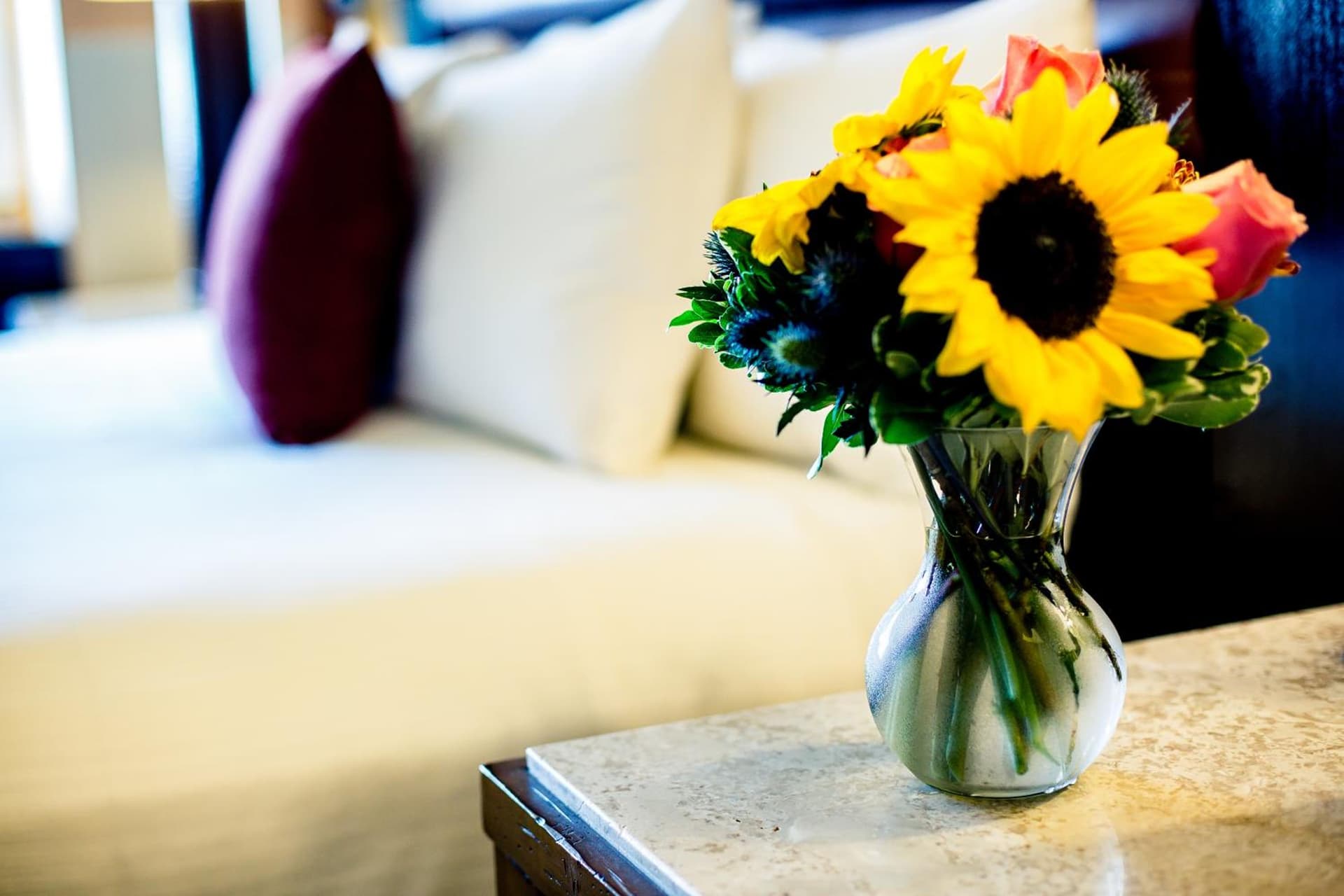Overton Hotel and Conference Center gallery photo in Lubbock, TX — image 37