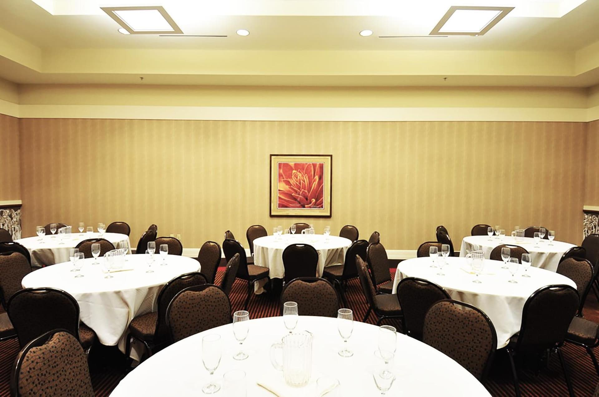 Overton Hotel and Conference Center gallery photo in Lubbock, TX — image 26
