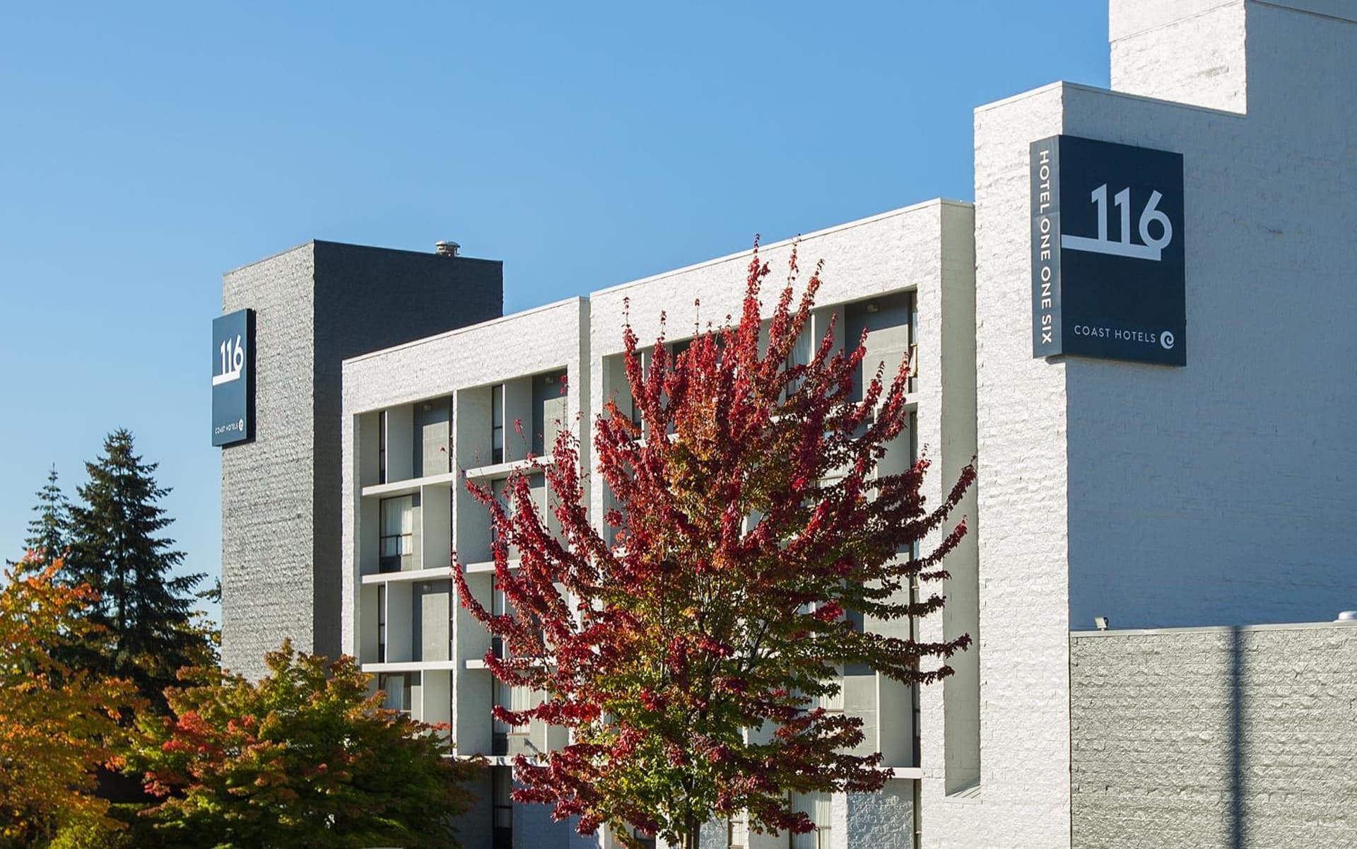Hotel 116, A Coast Hotel Bellevue gallery photo in Bellevue, WA — image 51