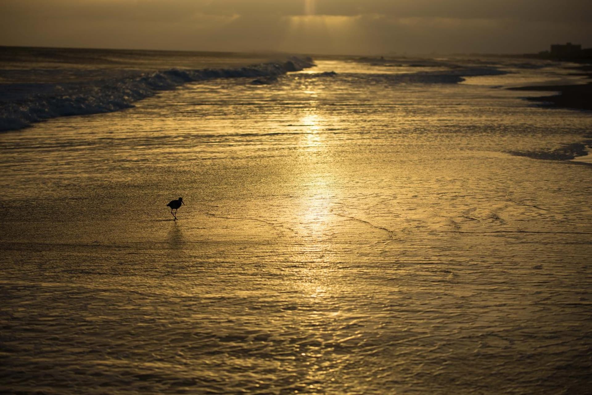 Atlantic Beach Resort, a Ramada by Wyndham gallery photo in Atlantic Beach, NC — image 12