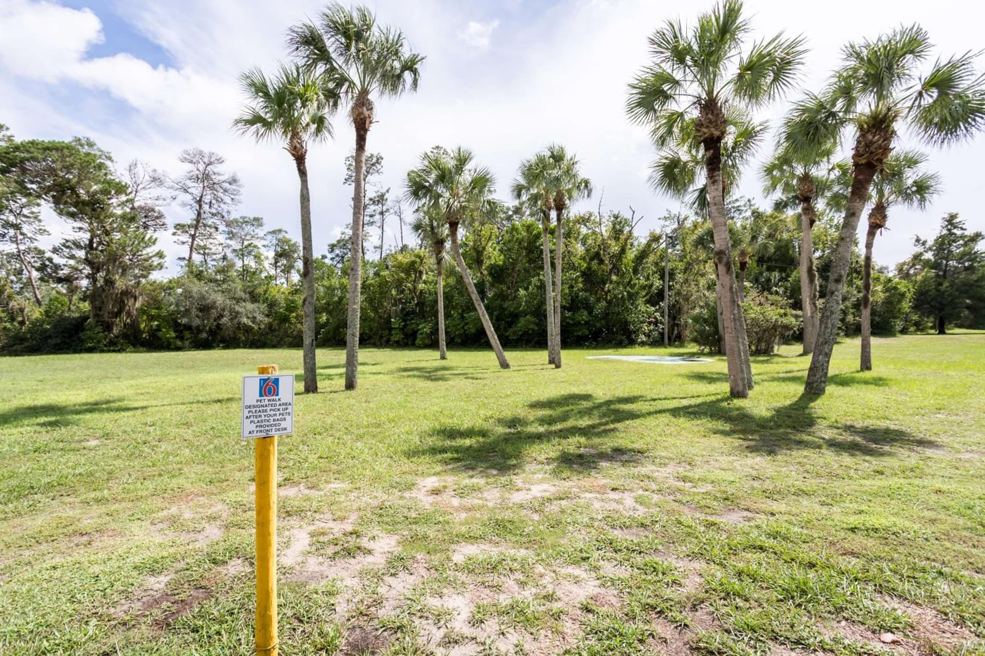 Motel 6-Spring Hill, FL - Weeki Wachee gallery photo in Weeki Wachee, FL — image 32