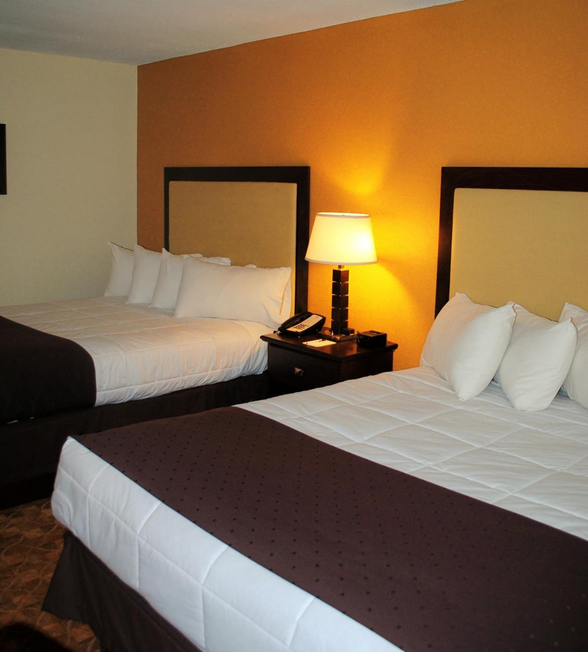 Village Inn Clemmons-Winston Salem, Trademark by Wyndham property views in Clemmons, NC — gallery photo 3