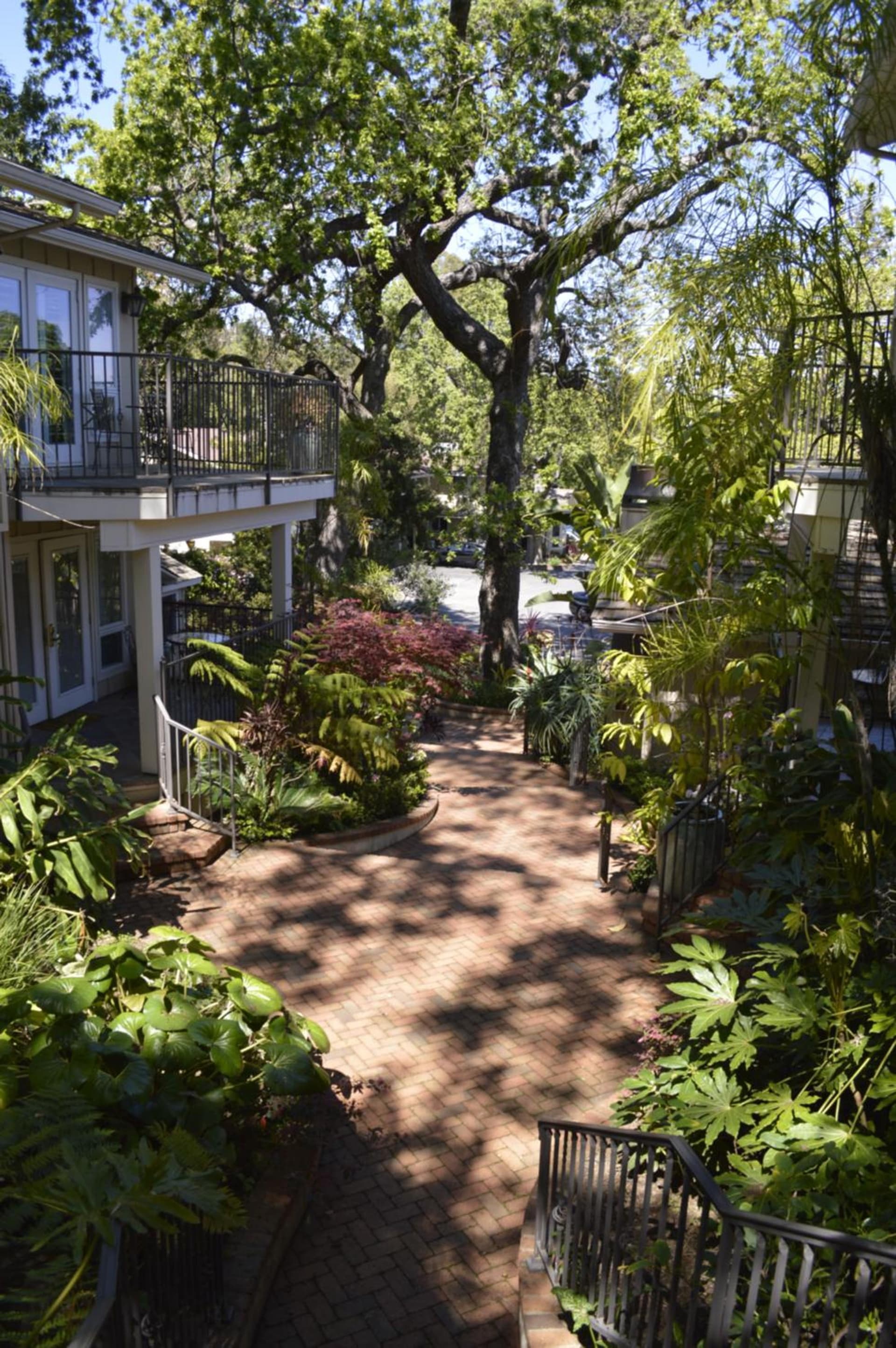 Saratoga Oaks Lodge gallery photo in Saratoga, CA — image 12