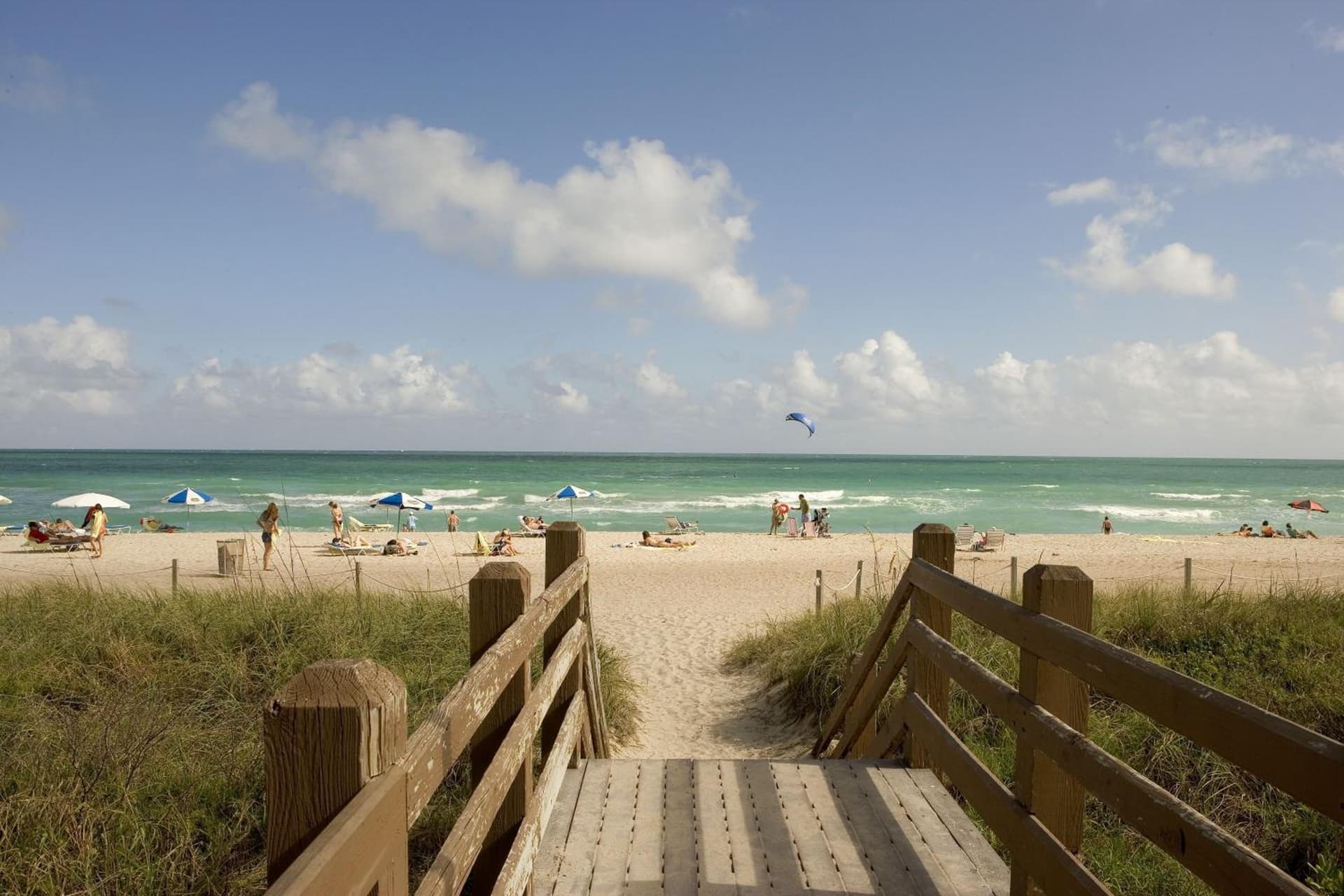 Circa 39 Miami Beach gallery photo in Miami Beach, FL — image 30