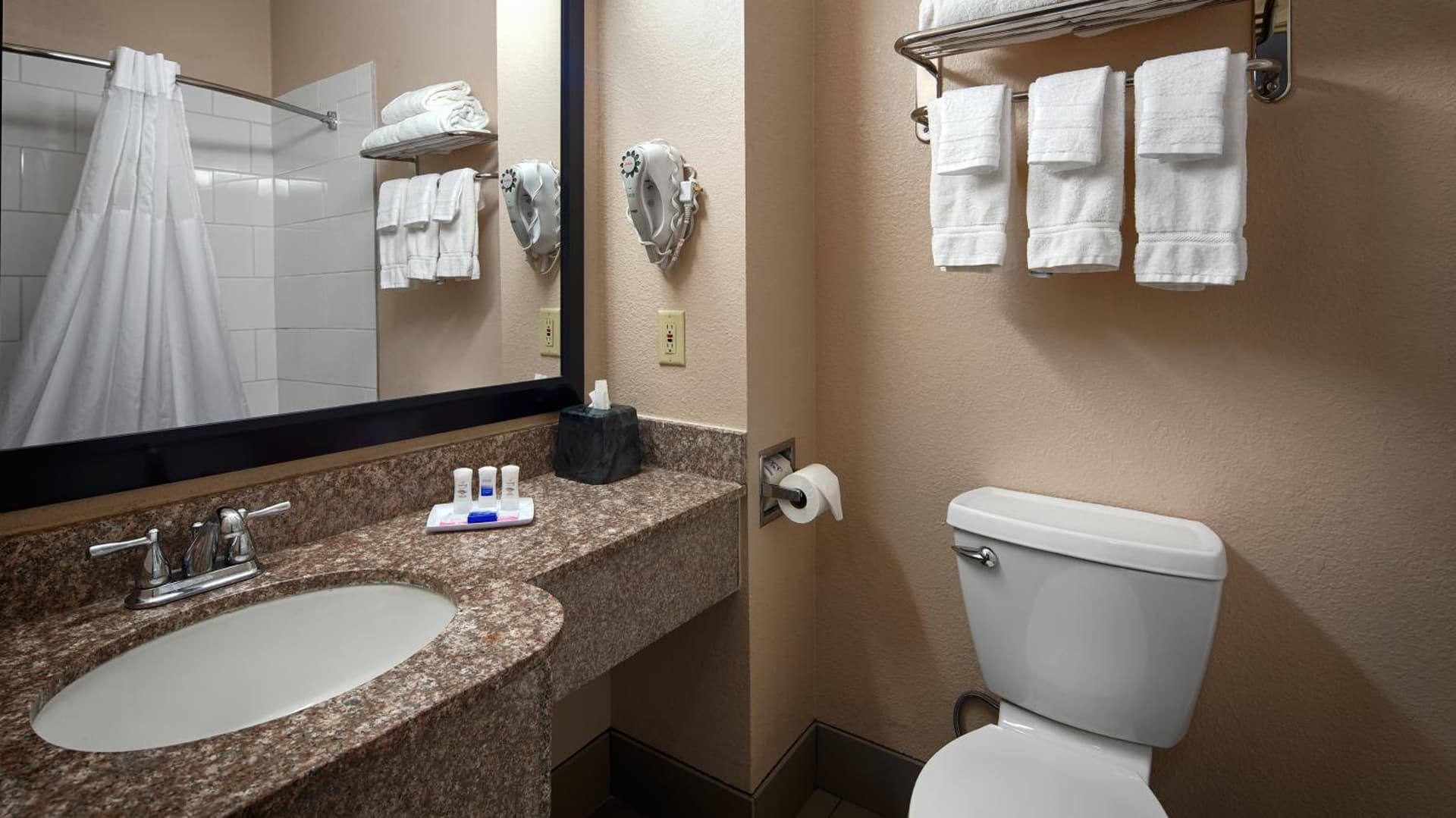Best Western Plus Kalamazoo Suites gallery photo in Kalamazoo, MI — image 13