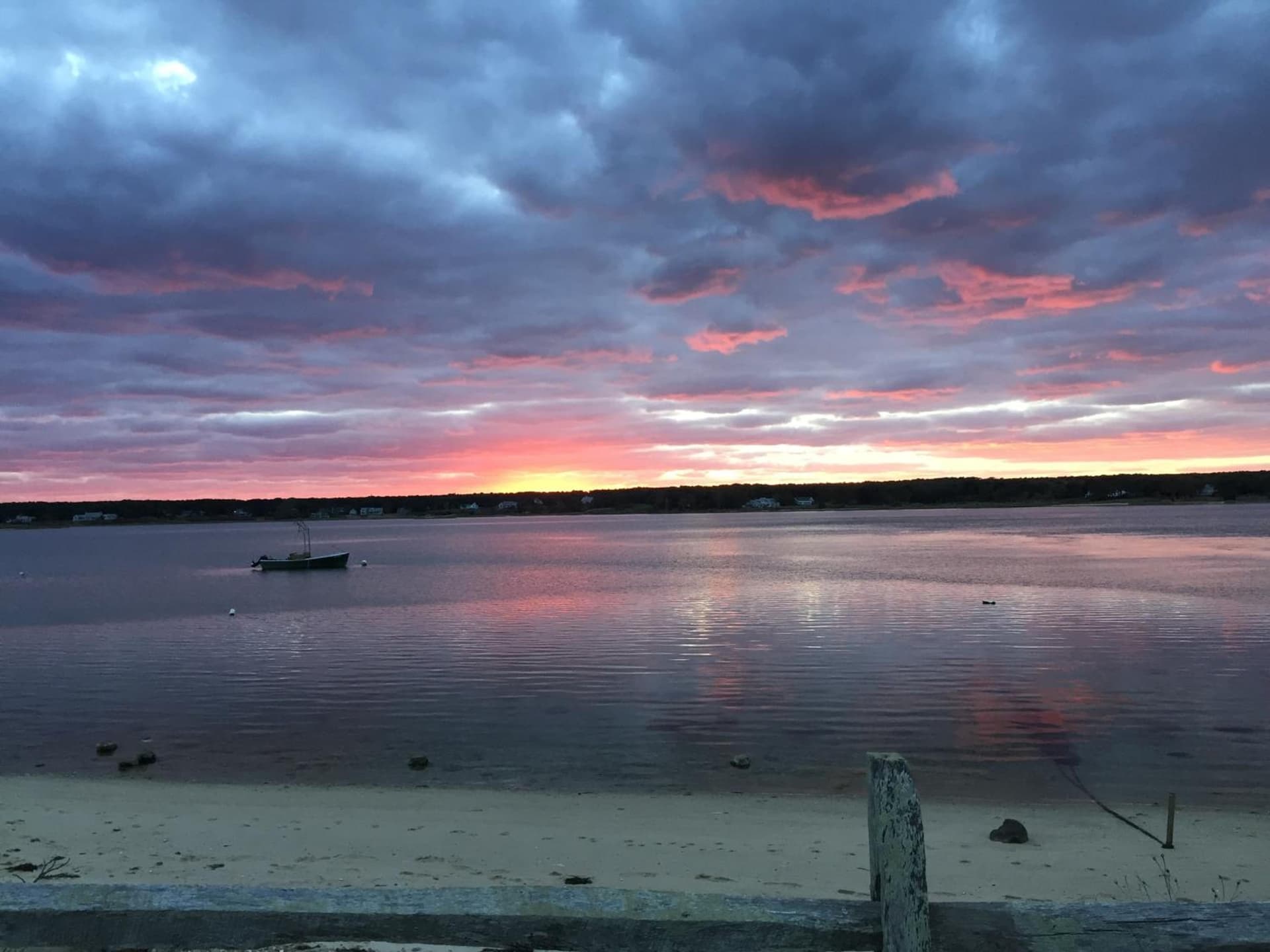 Hob Knob gallery photo in Edgartown — image 7