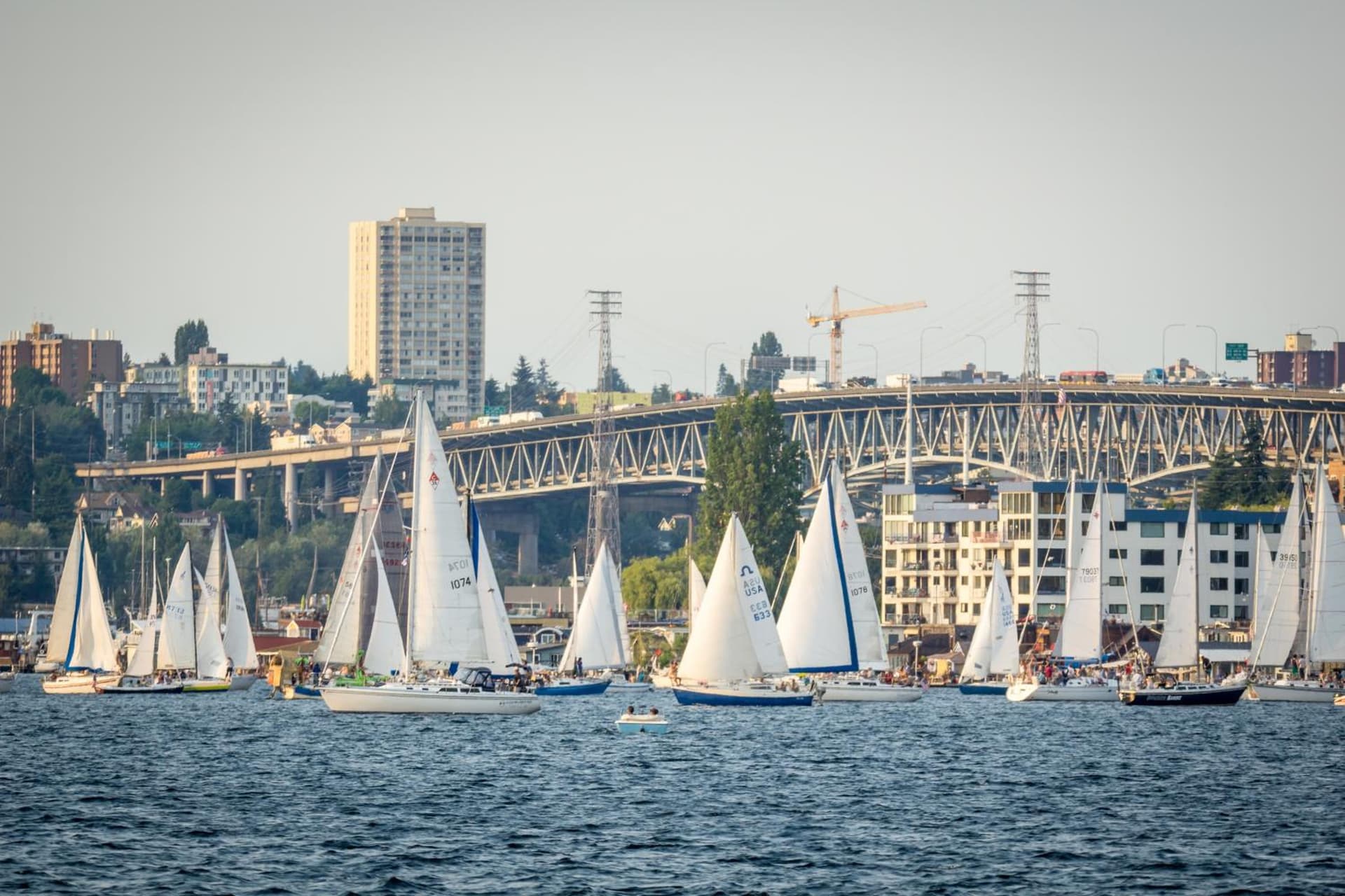 Hotel Theodore Seattle Downtown, Tapestry by Hilton gallery photo in Seattle, WA — image 26