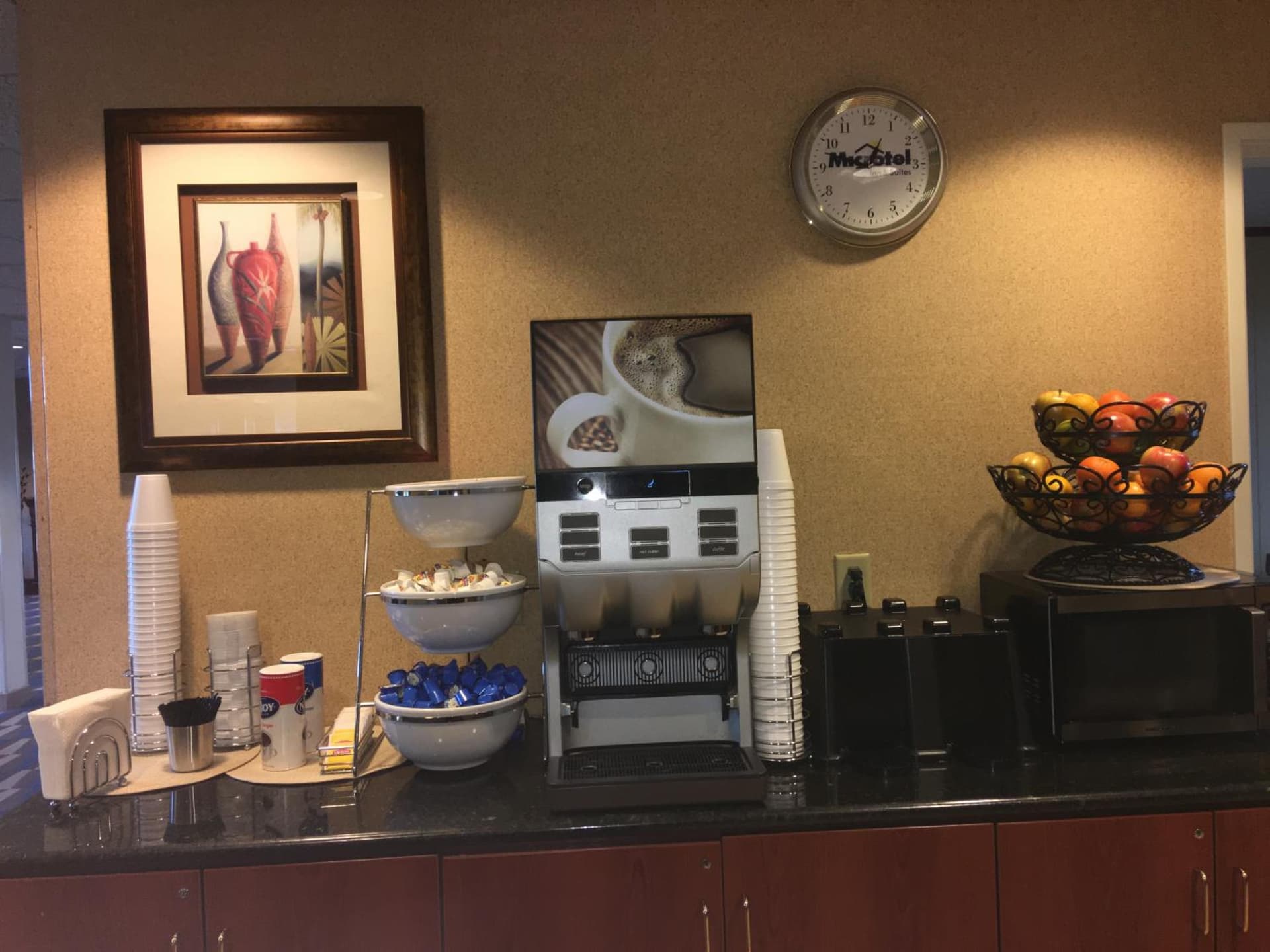 Microtel Inn & Suites by Wyndham Indianapolis Airport gallery photo in Indianapolis, IN — image 43