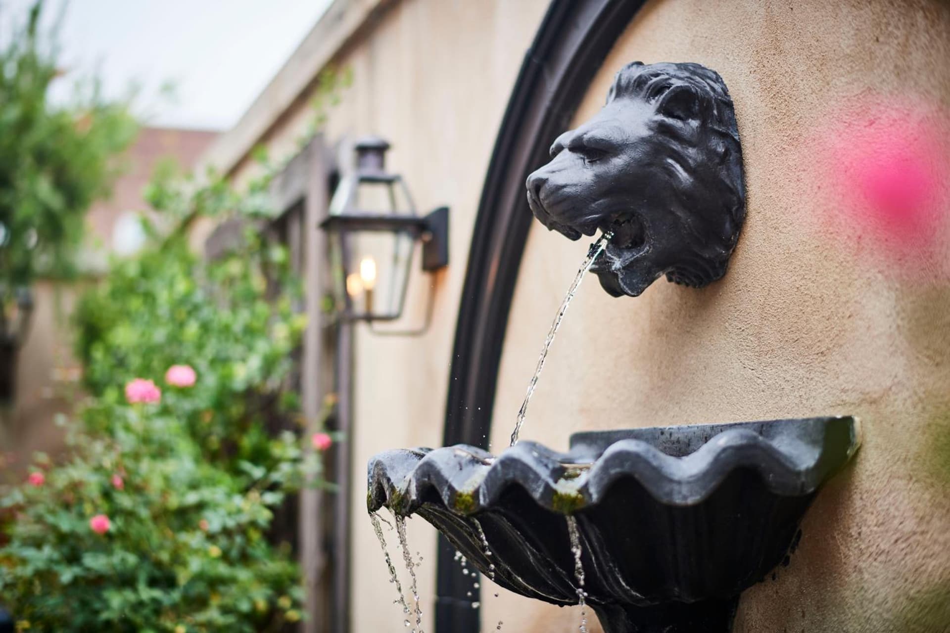 French Quarter Inn gallery photo in Charleston, SC — image 46