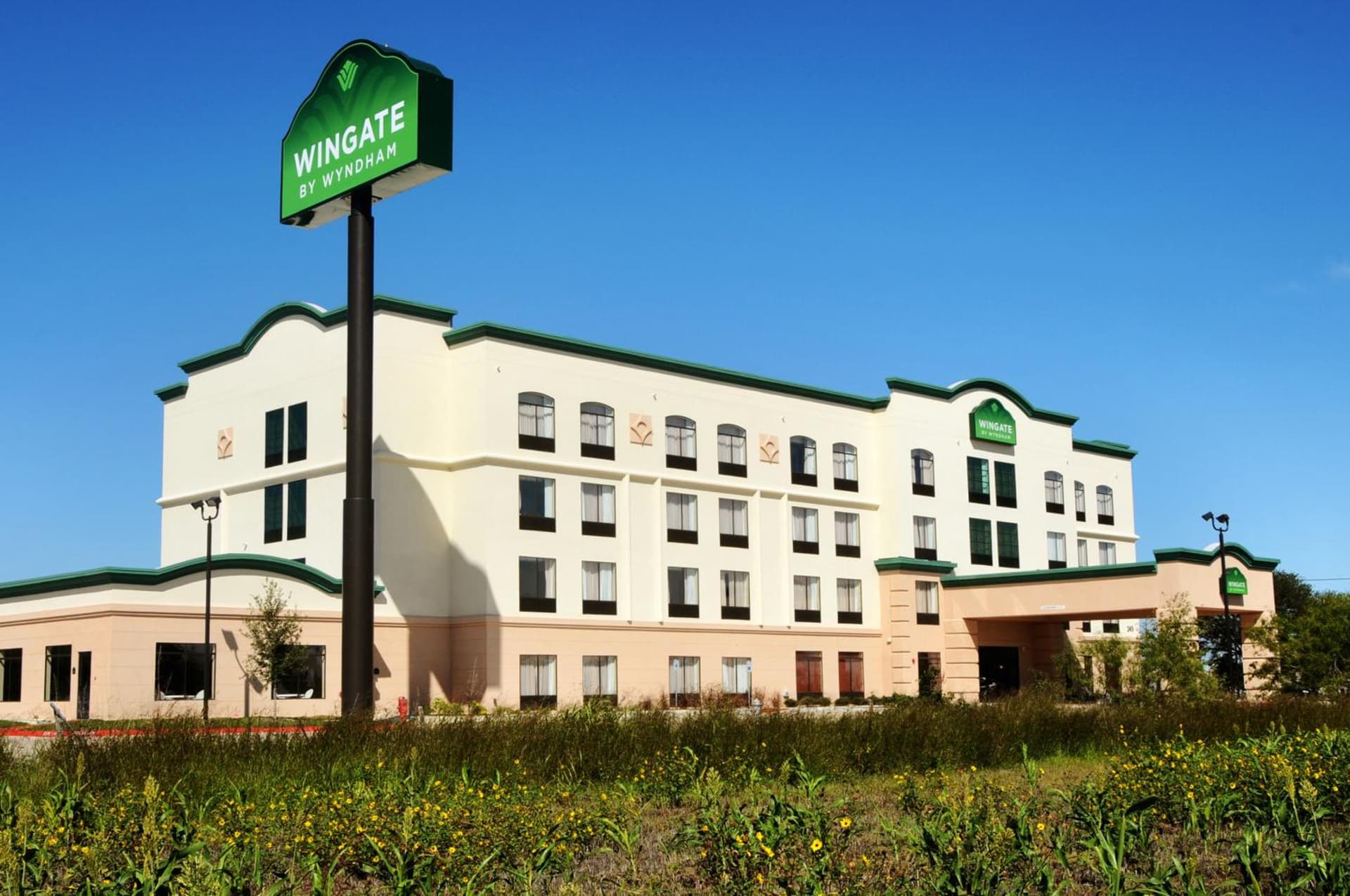 Wingate by Wyndham New Braunfels gallery photo in New Braunfels, TX — image 32