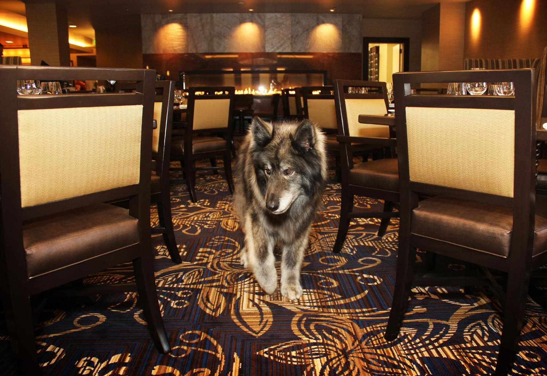 Jackson Rancheria Casino Resort gallery photo in Jackson, CA — image 26