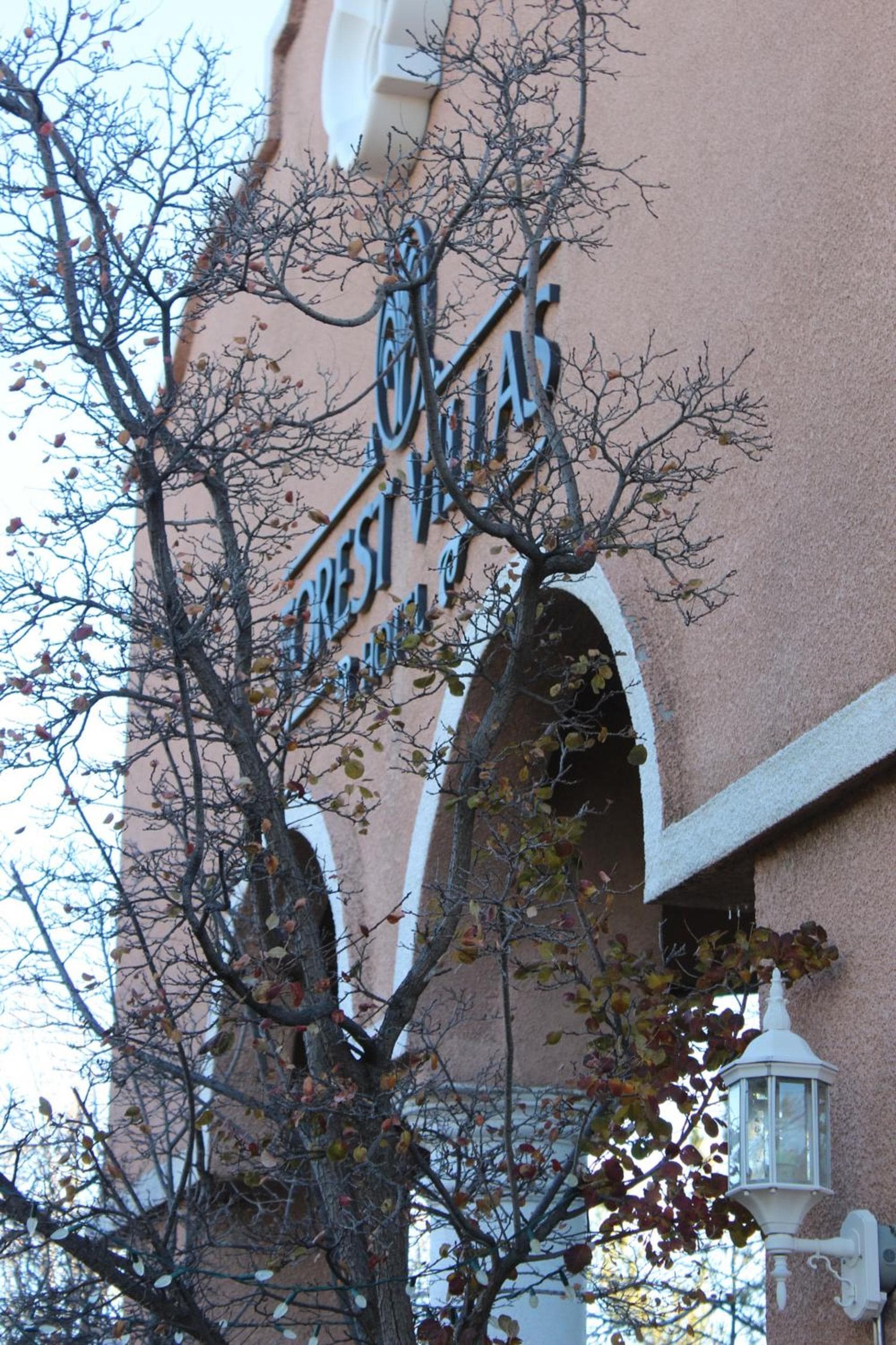 Forest Villas Hotel gallery photo in Prescott, AZ — image 209
