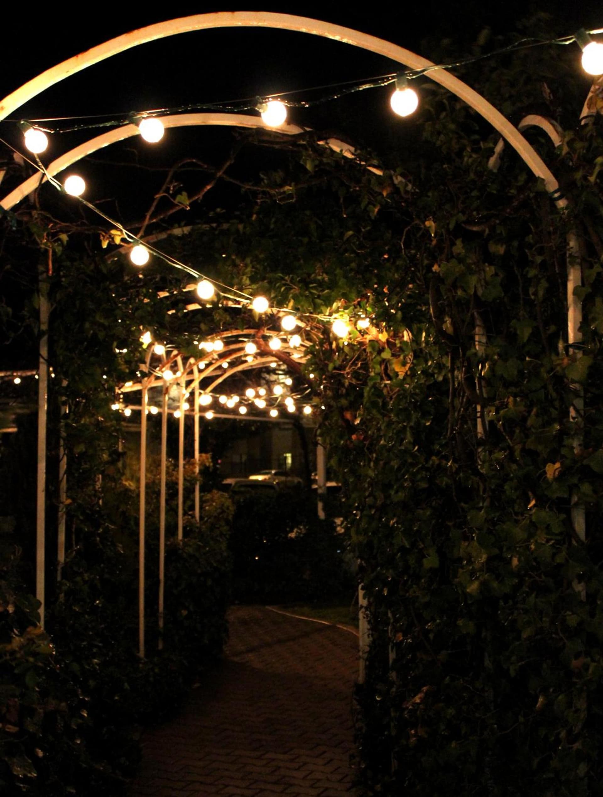 Forest Villas Hotel gallery photo in Prescott, AZ — image 112