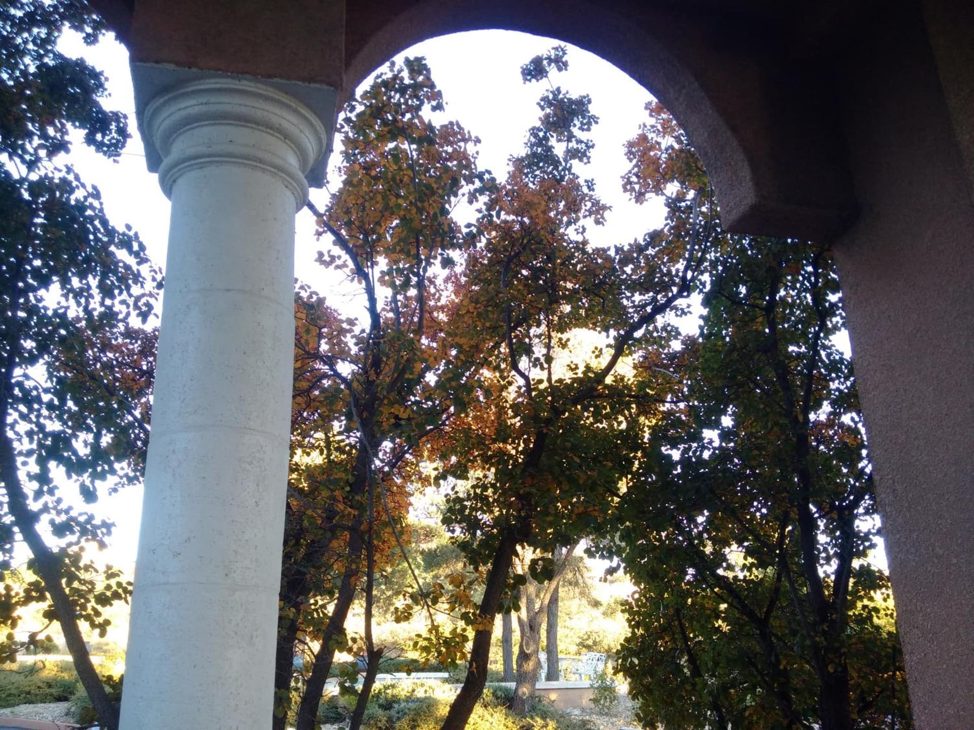 Forest Villas Hotel gallery photo in Prescott, AZ — image 161