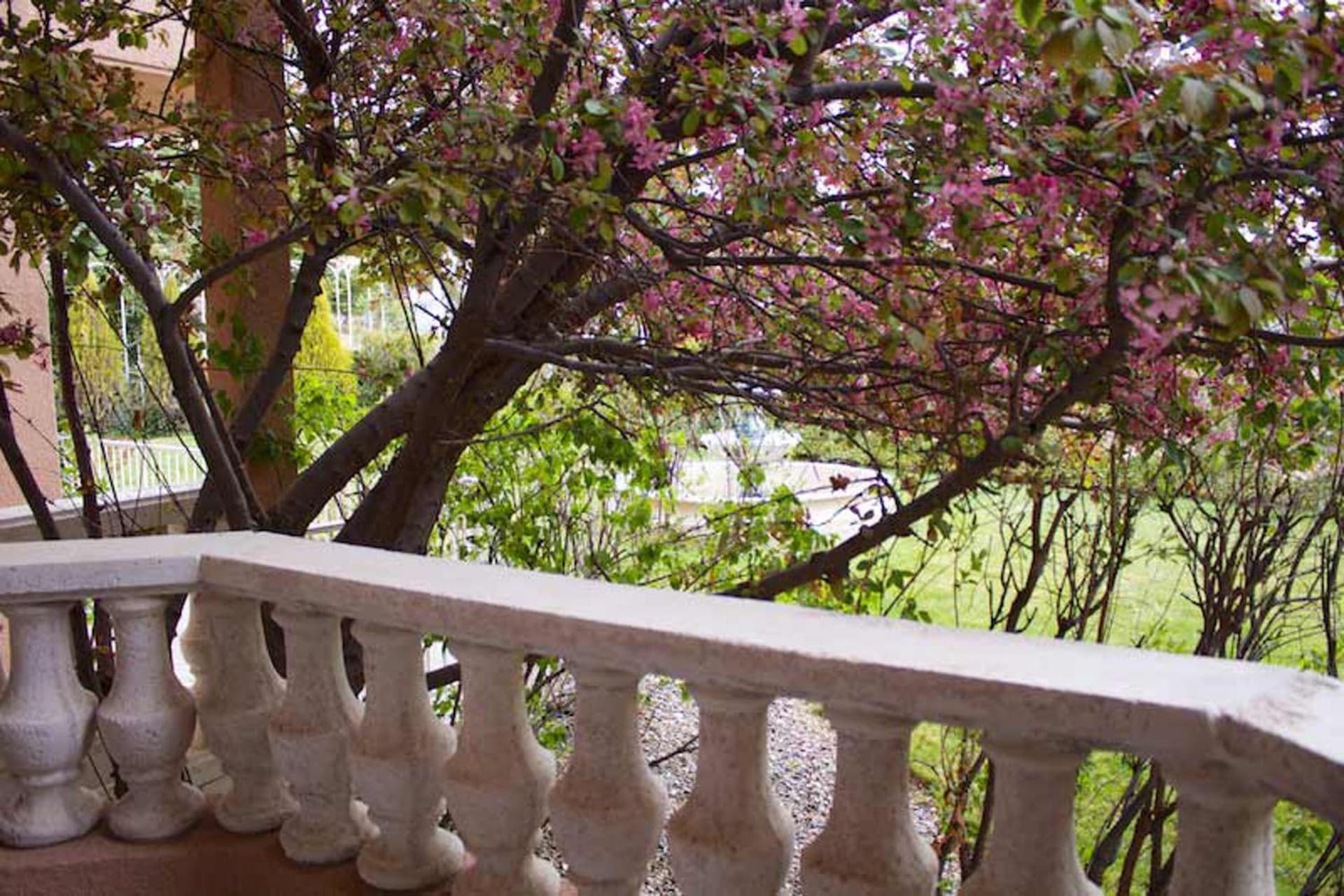 Forest Villas Hotel gallery photo in Prescott, AZ — image 49