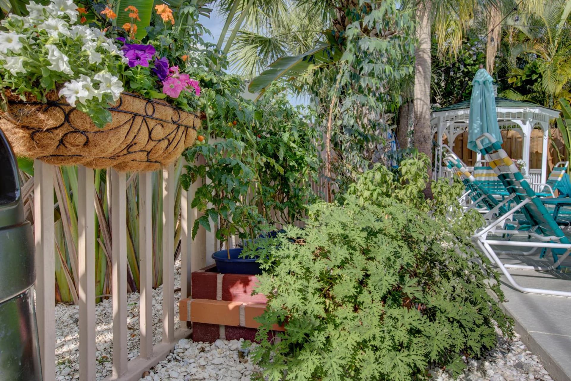 The Ringling Beach House gallery photo in Siesta Key, FL — image 33