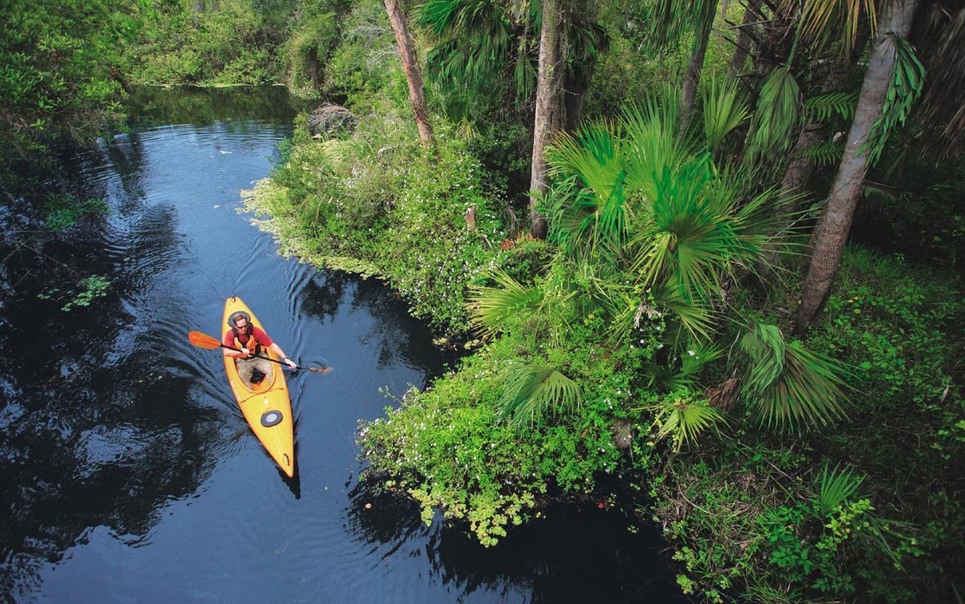 Sanibel Island Beach Resort gallery photo in Sanibel, FL — image 14