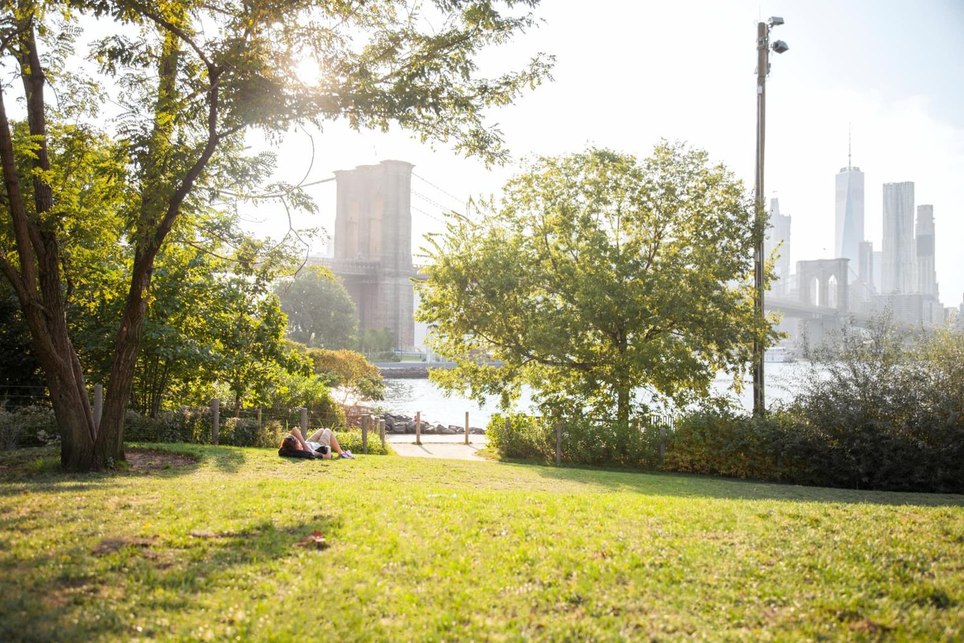 1 Hotel Brooklyn Bridge gallery photo in Brooklyn, NY — image 55