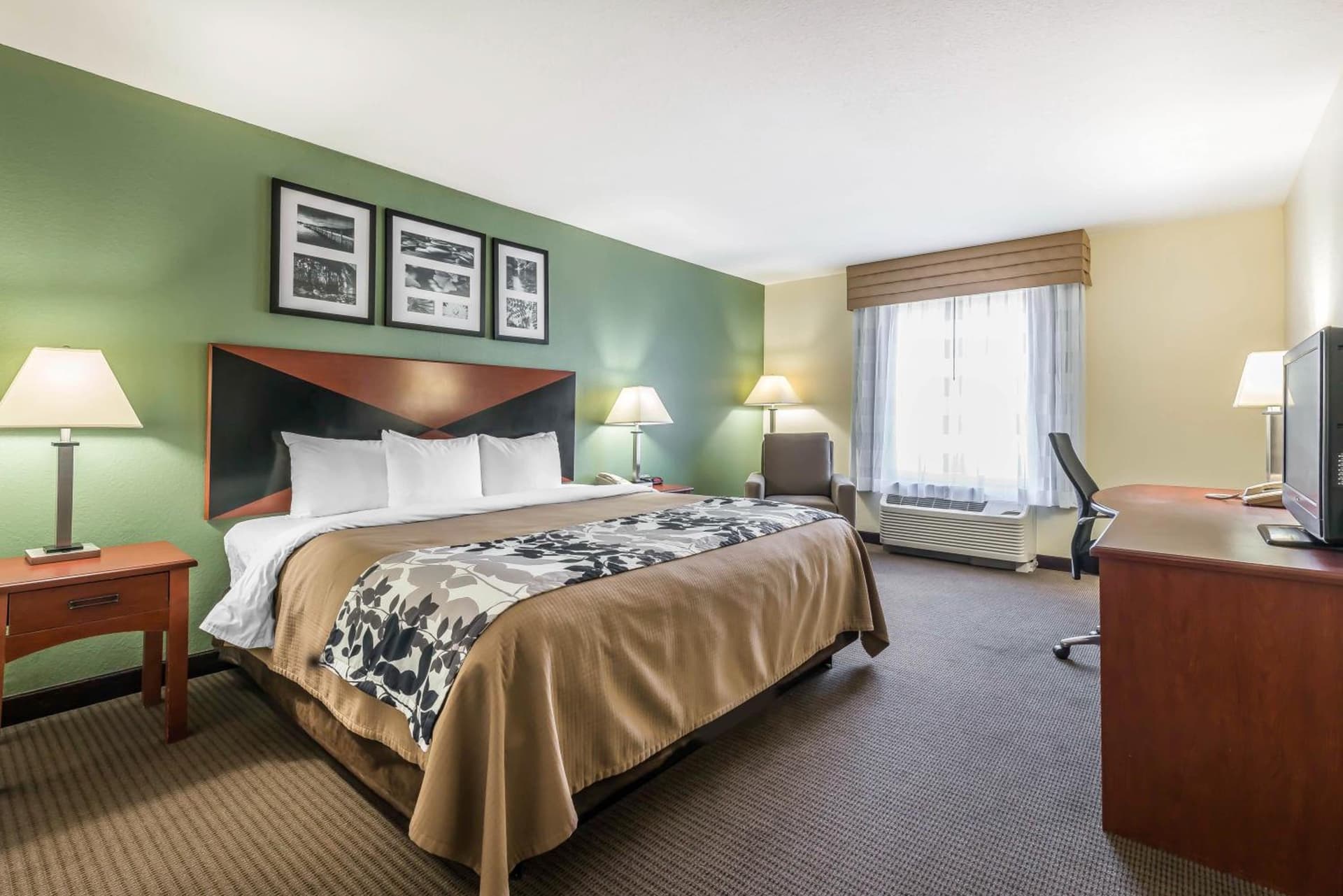Sleep Inn & Suites University-Shands gallery photo in Gainesville, FL — image 38