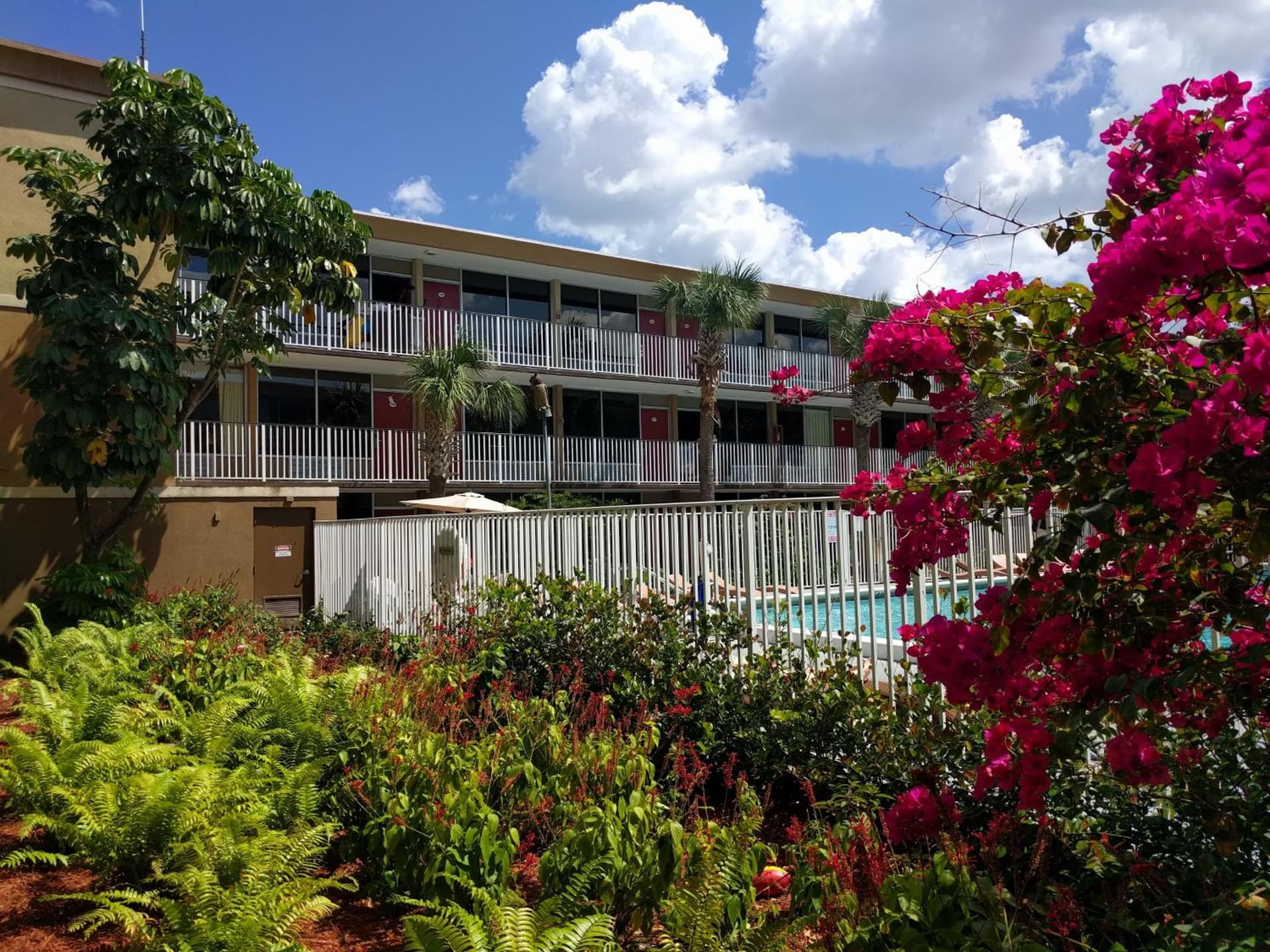 Red Carpet Inn Airport and Cruise Port Hotel Fort Lauderdale gallery photo in Fort Lauderdale, FL — image 7