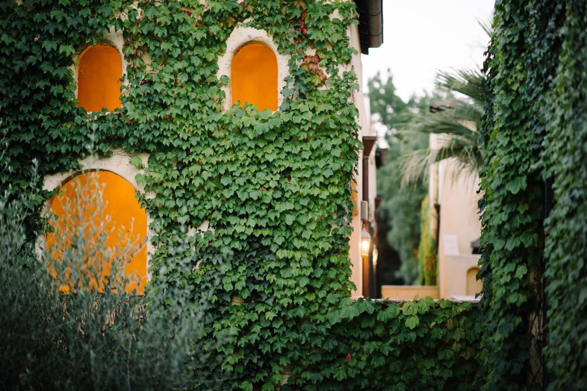 Kenwood Inn & Spa gallery photo in Kenwood, CA — image 74