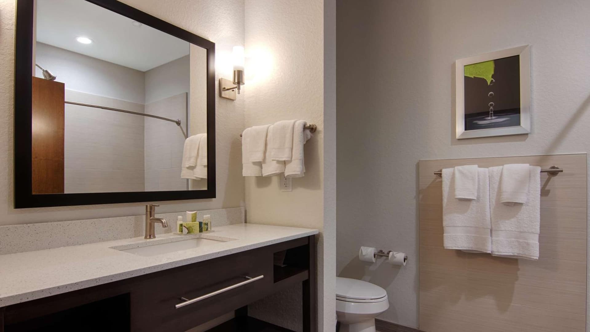 Best Western Plus College Station Inn & Suites gallery photo in College Station, TX — image 11