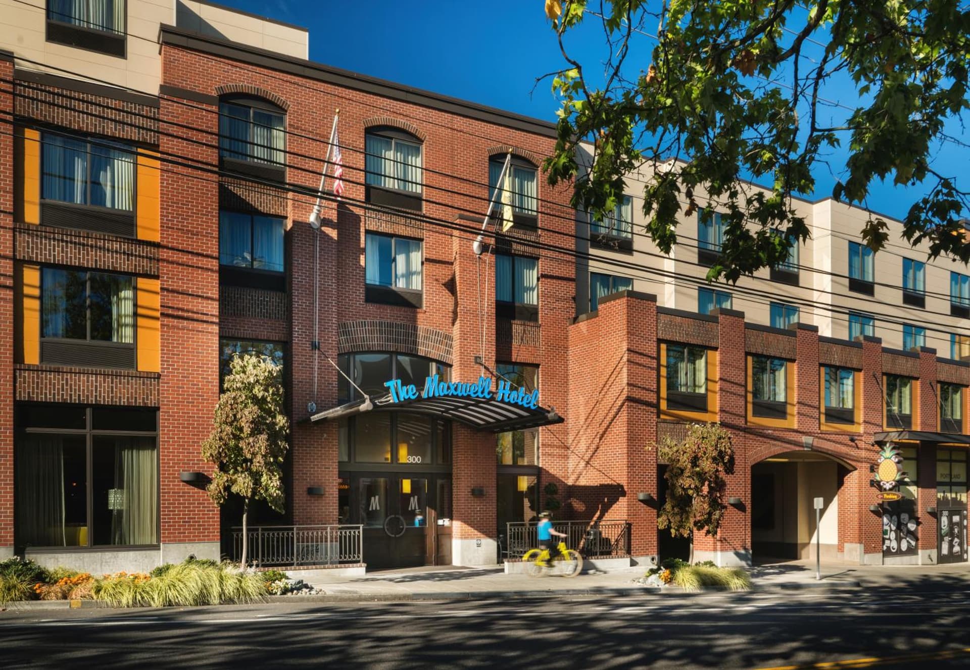 Staypineapple, The Maxwell Hotel, Seattle Center Seattle gallery photo in Seattle, WA — image 18