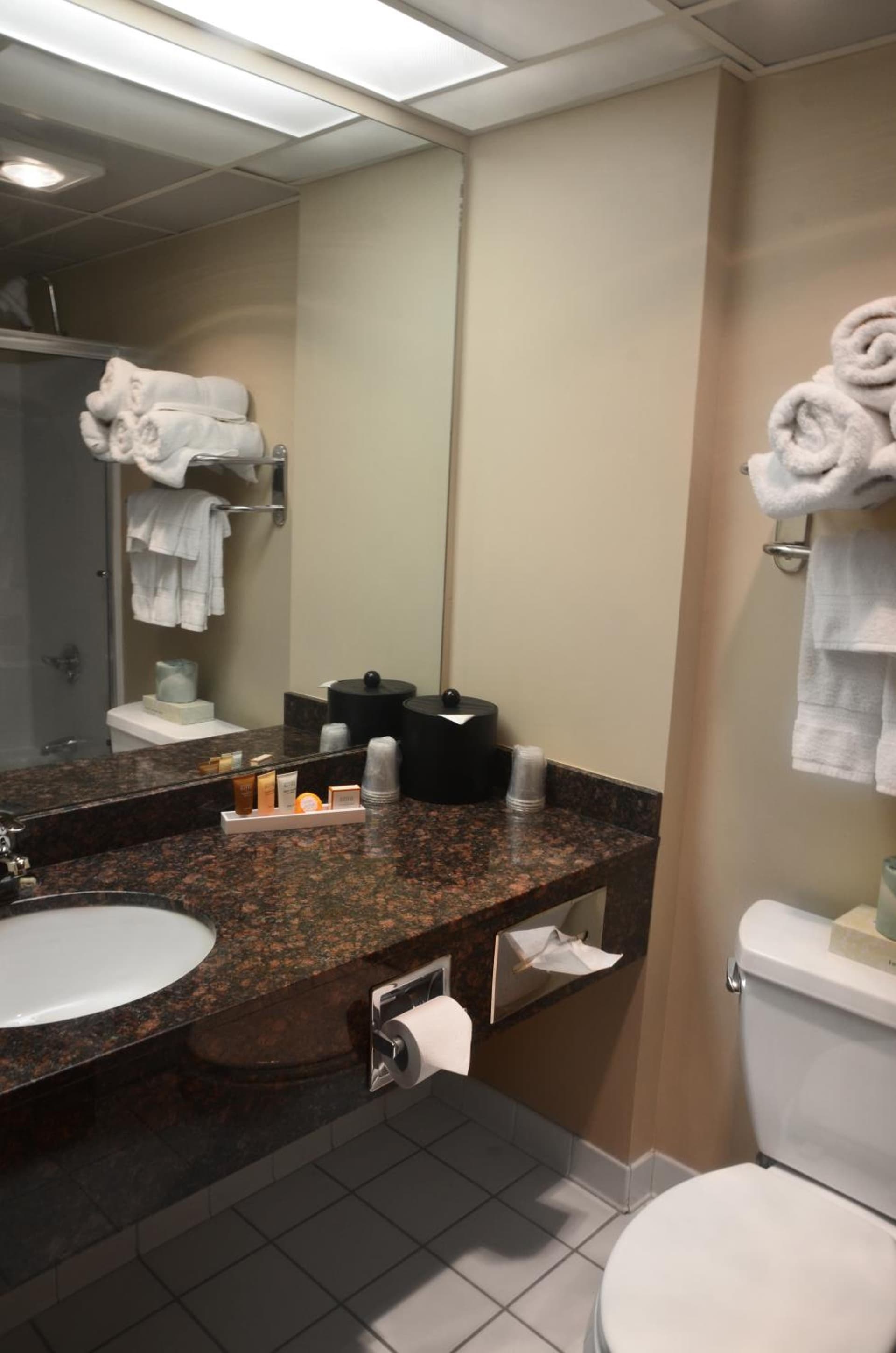 Centerstone Plaza Hotel Soldiers Field - Mayo Clinic Area gallery photo in Rochester, MN — image 33