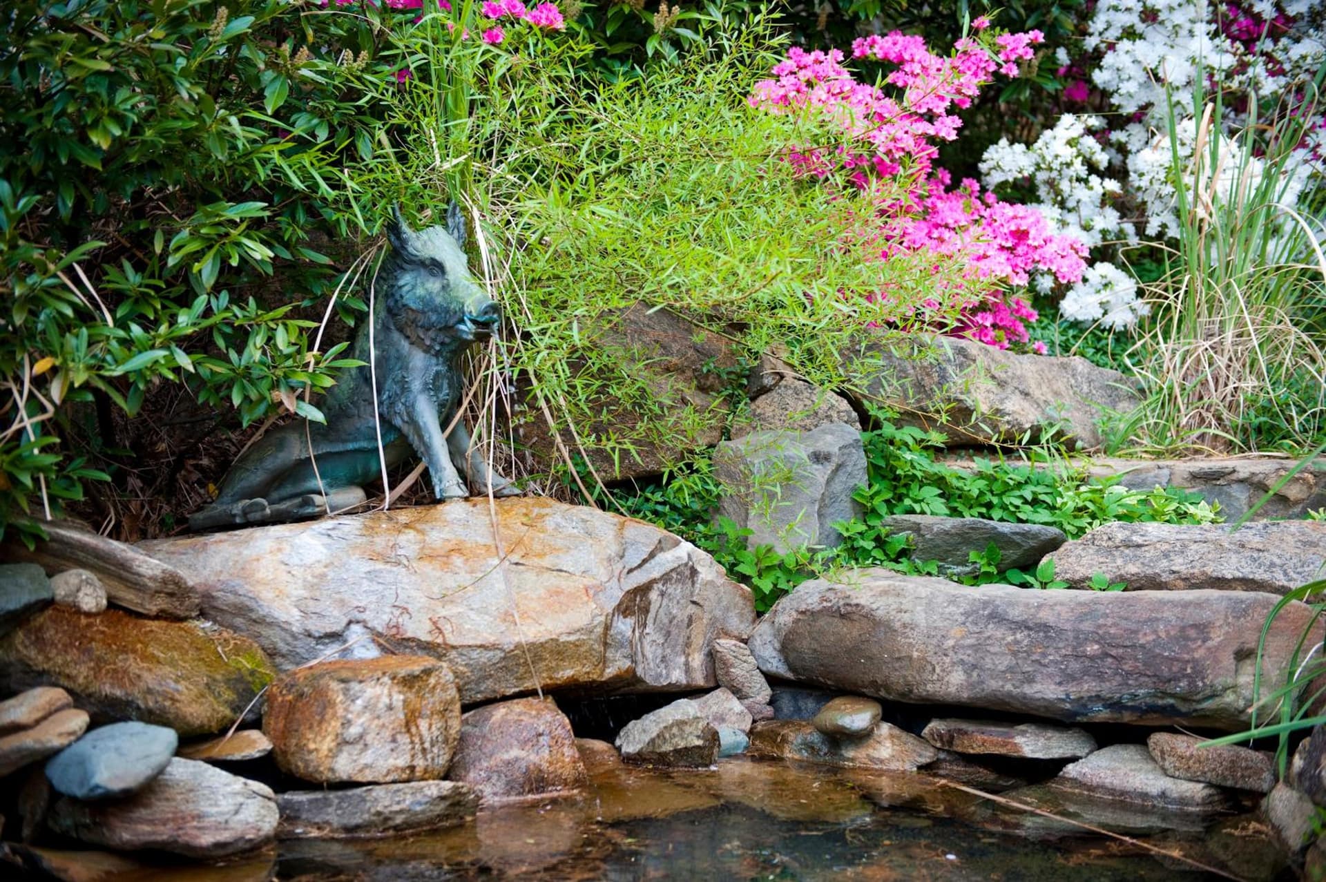 Boar's Head Resort gallery photo in Charlottesville, VA — image 38