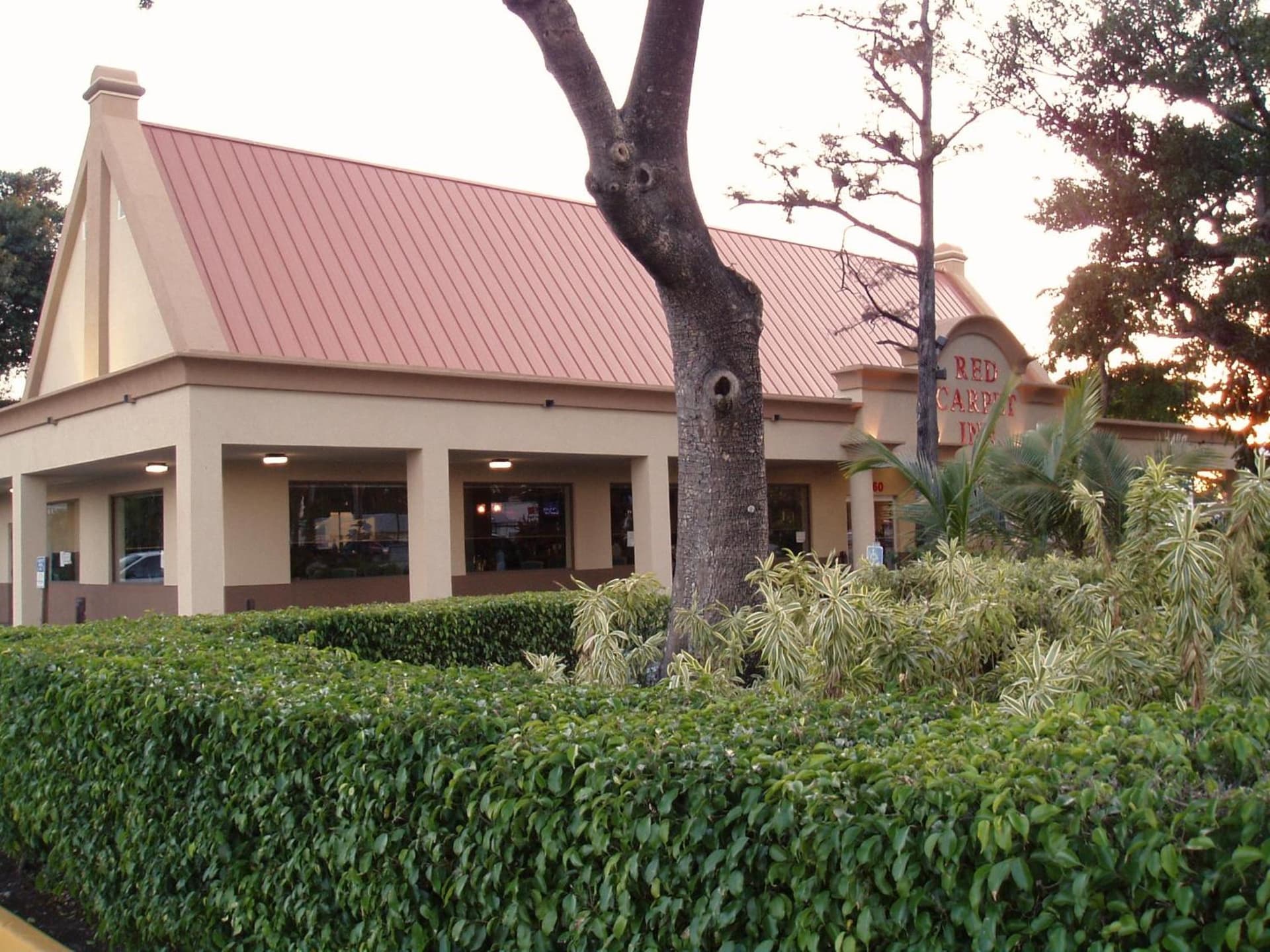 Red Carpet Inn Airport and Cruise Port Hotel Fort Lauderdale gallery photo in Fort Lauderdale, FL — image 14