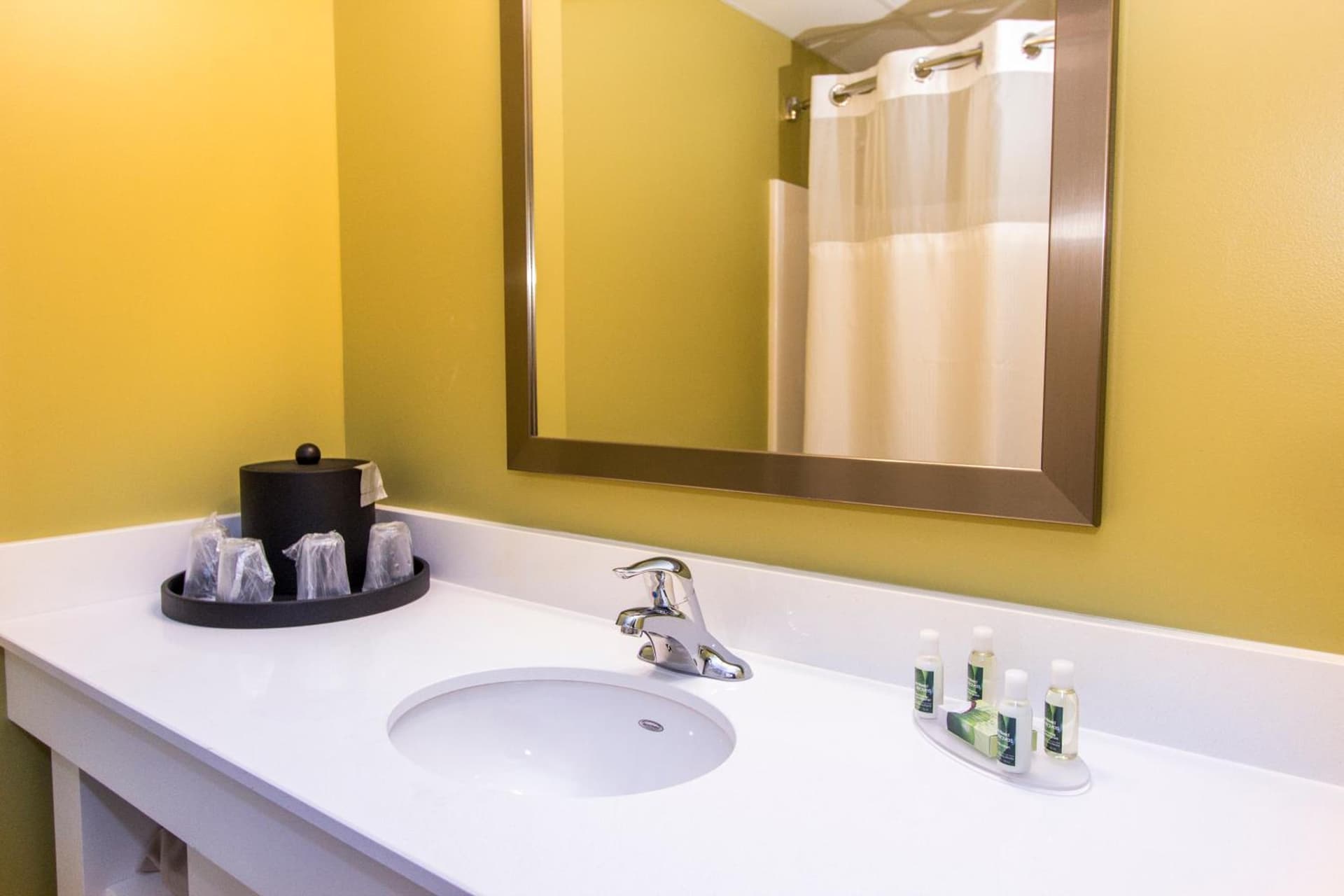 Cedar Point's Express Hotel interior in Sandusky, OH — gallery photo 2