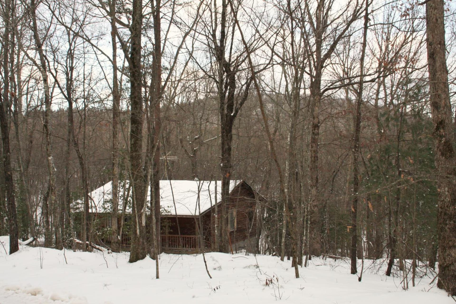 Forrest Hills Mountain Resort gallery photo in Dahlonega, GA — image 20
