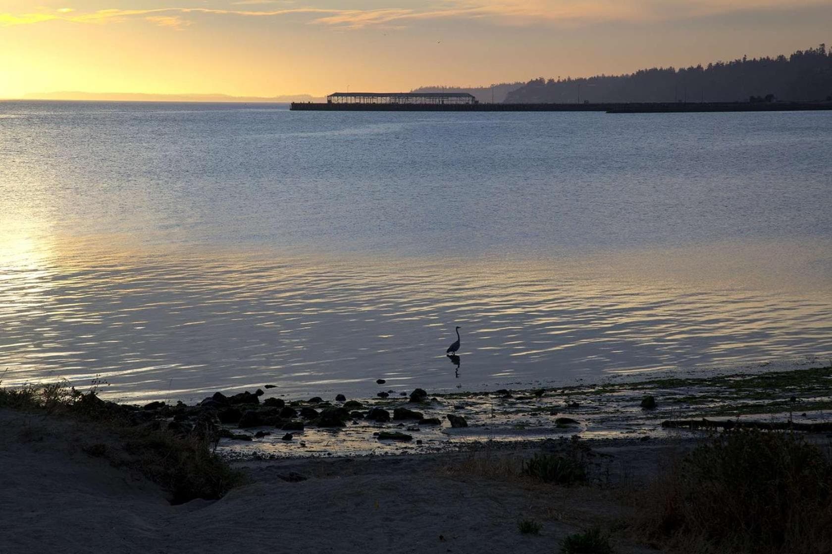 Red Lion Hotel Port Angeles Harbor gallery photo in Port Angeles, WA — image 65