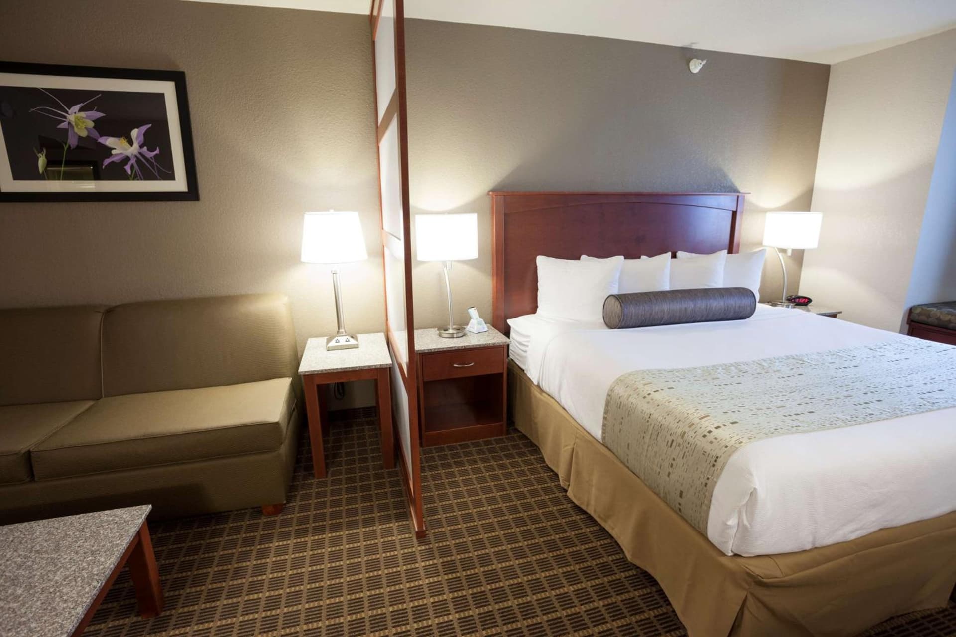 Best Western Plus Peak Vista Inn & Suites gallery photo in Colorado Springs, CO — image 11